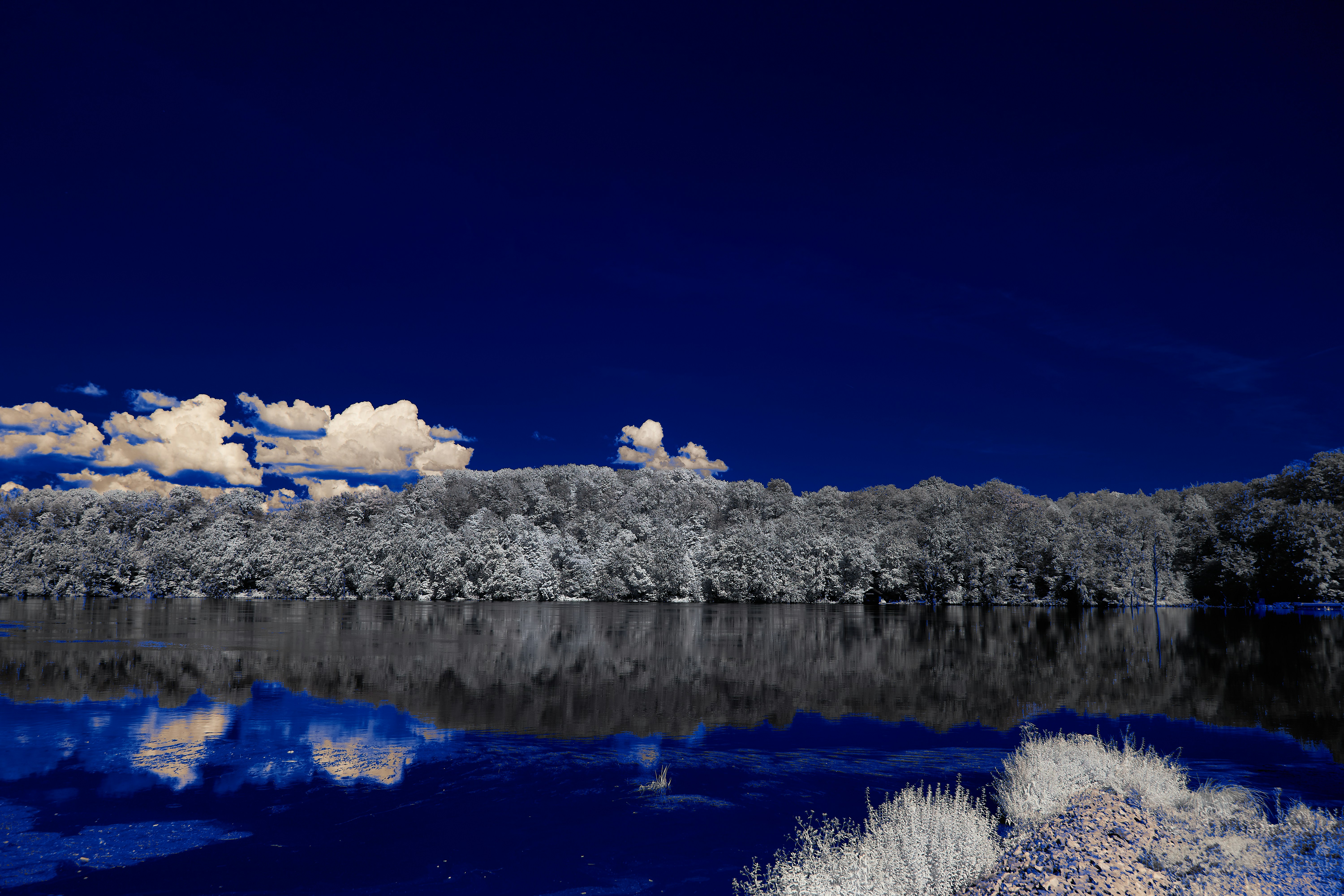 Photo by wolfgang_hasselmann