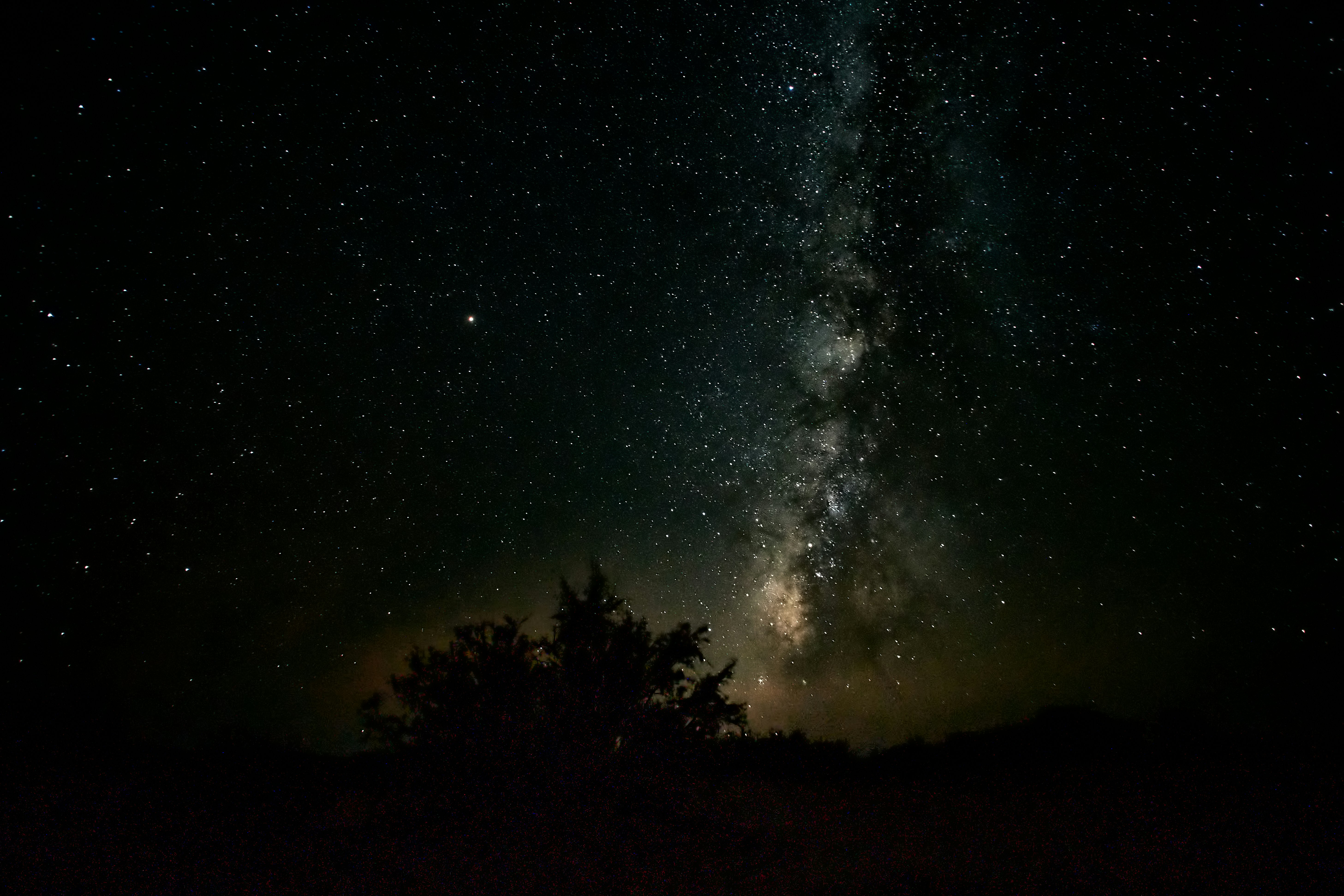 Photo by wolfgang_hasselmann