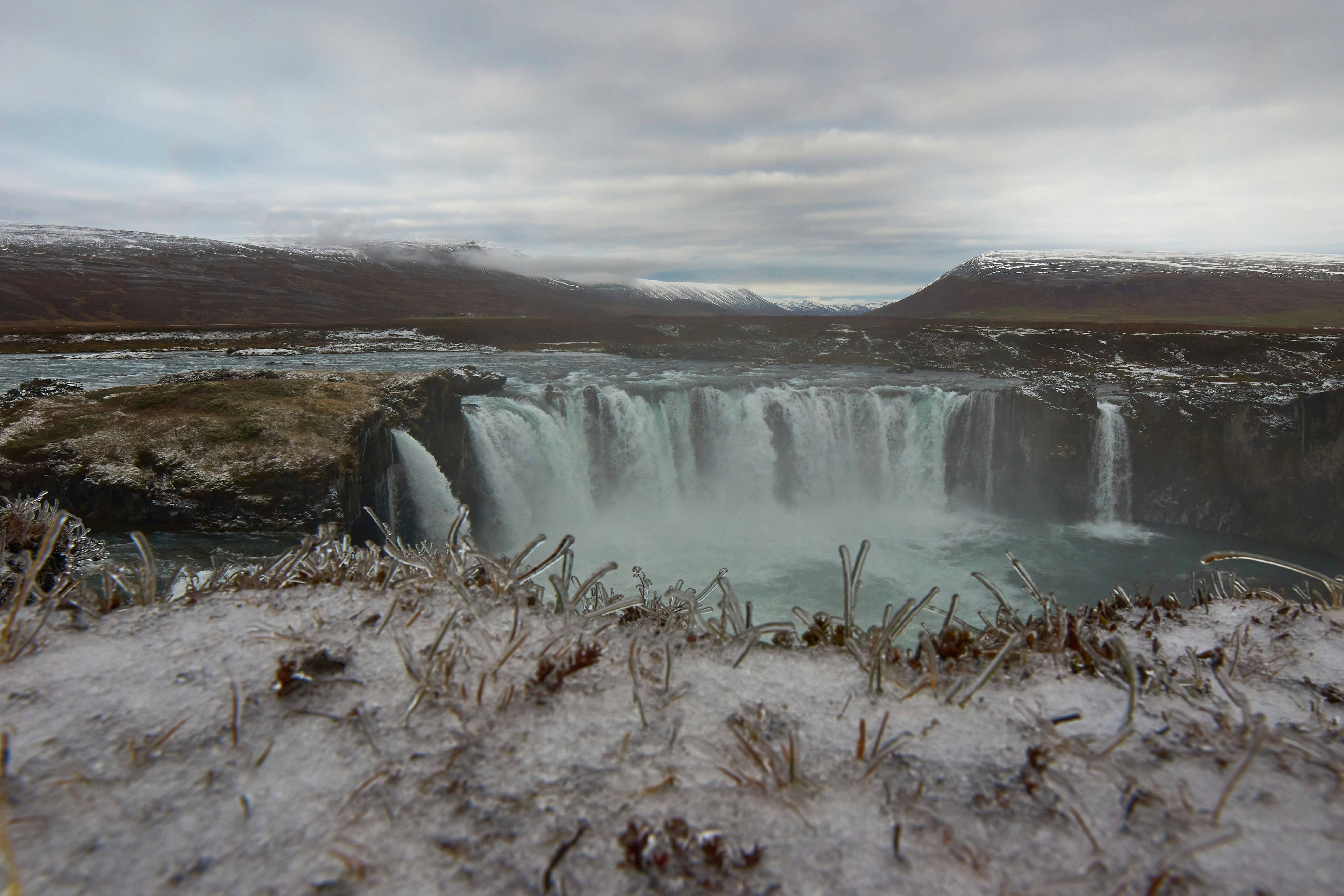 Photo by wolfgang_hasselmann