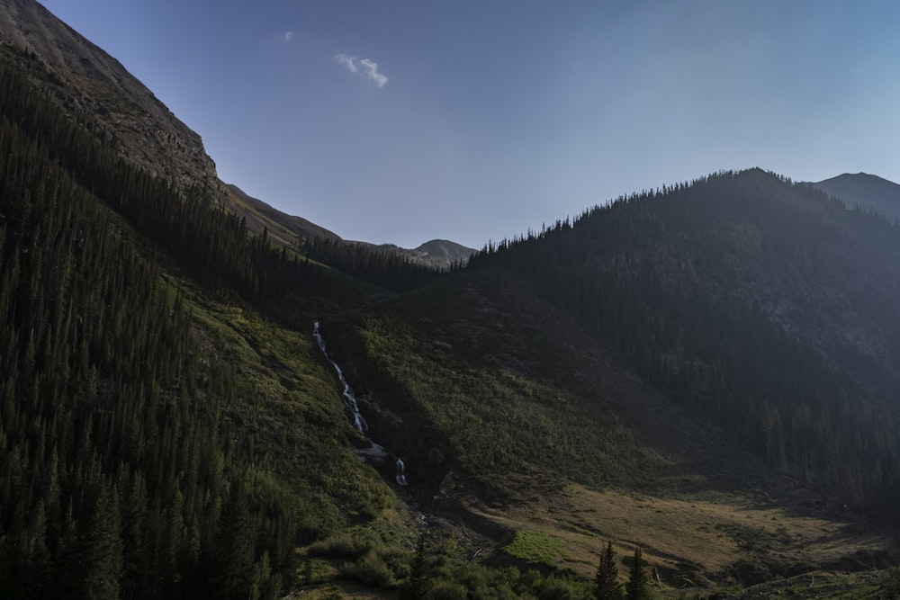 Grüne Bäume am Berg unter blauem Himmel tagsüber