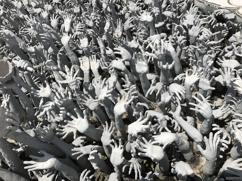 white and black floral textile