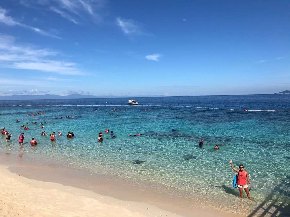 people on beach during daytime