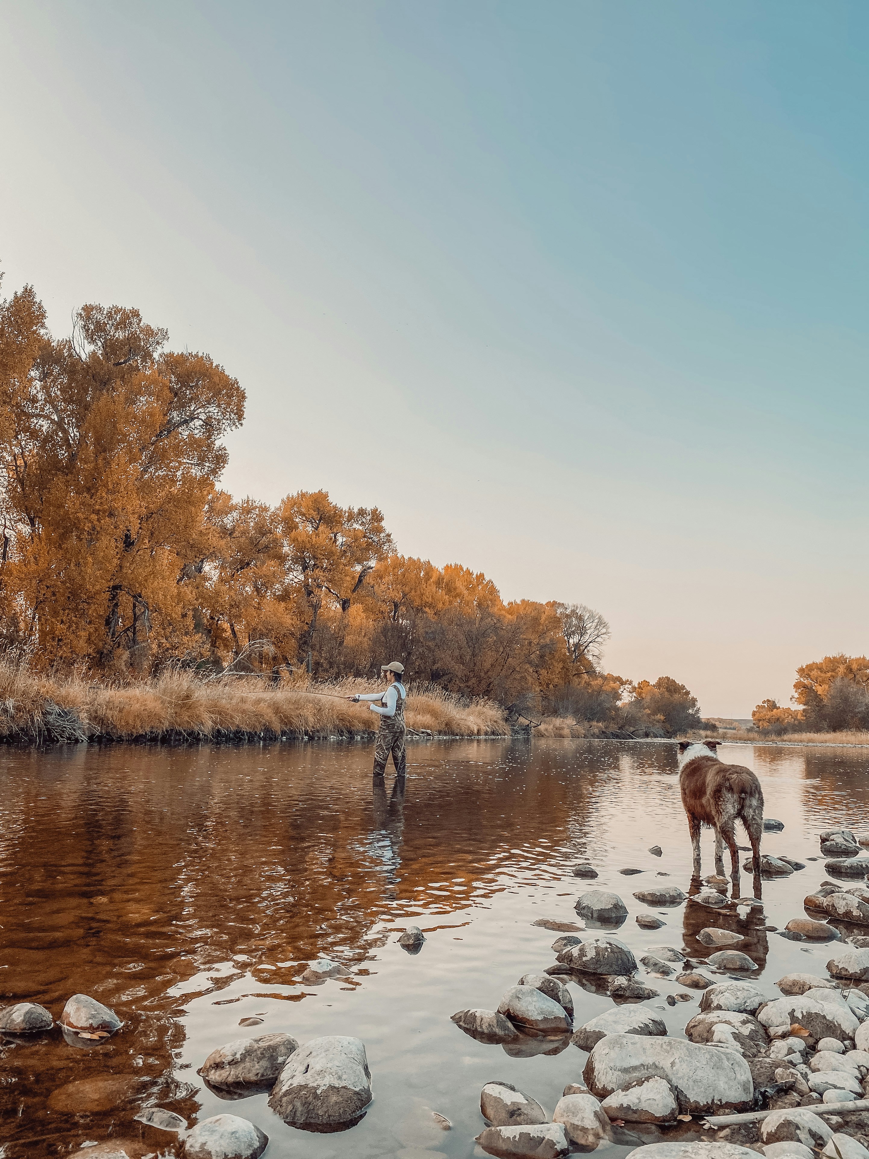 Photo by glennclaire