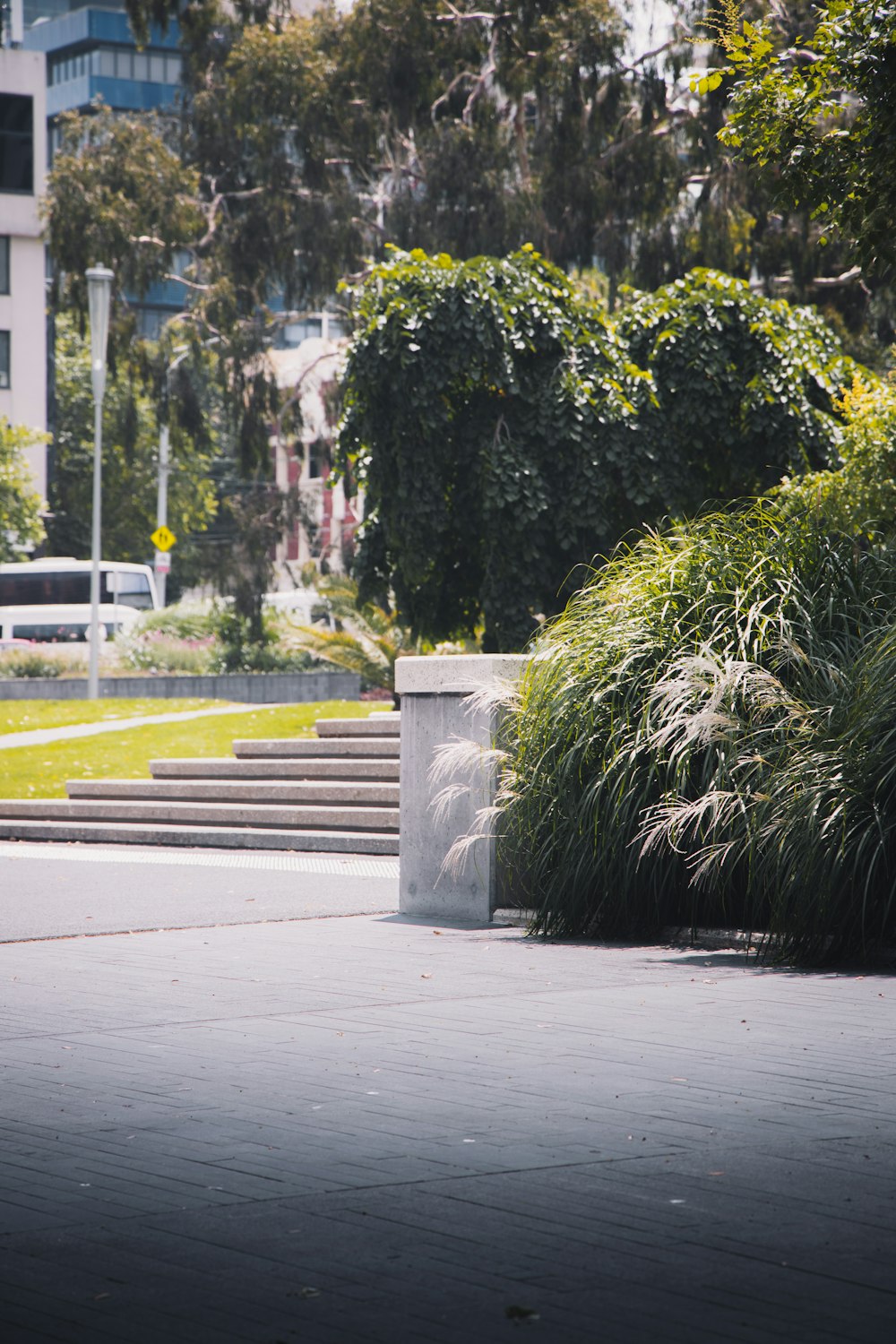 green plant near white concrete building during daytime