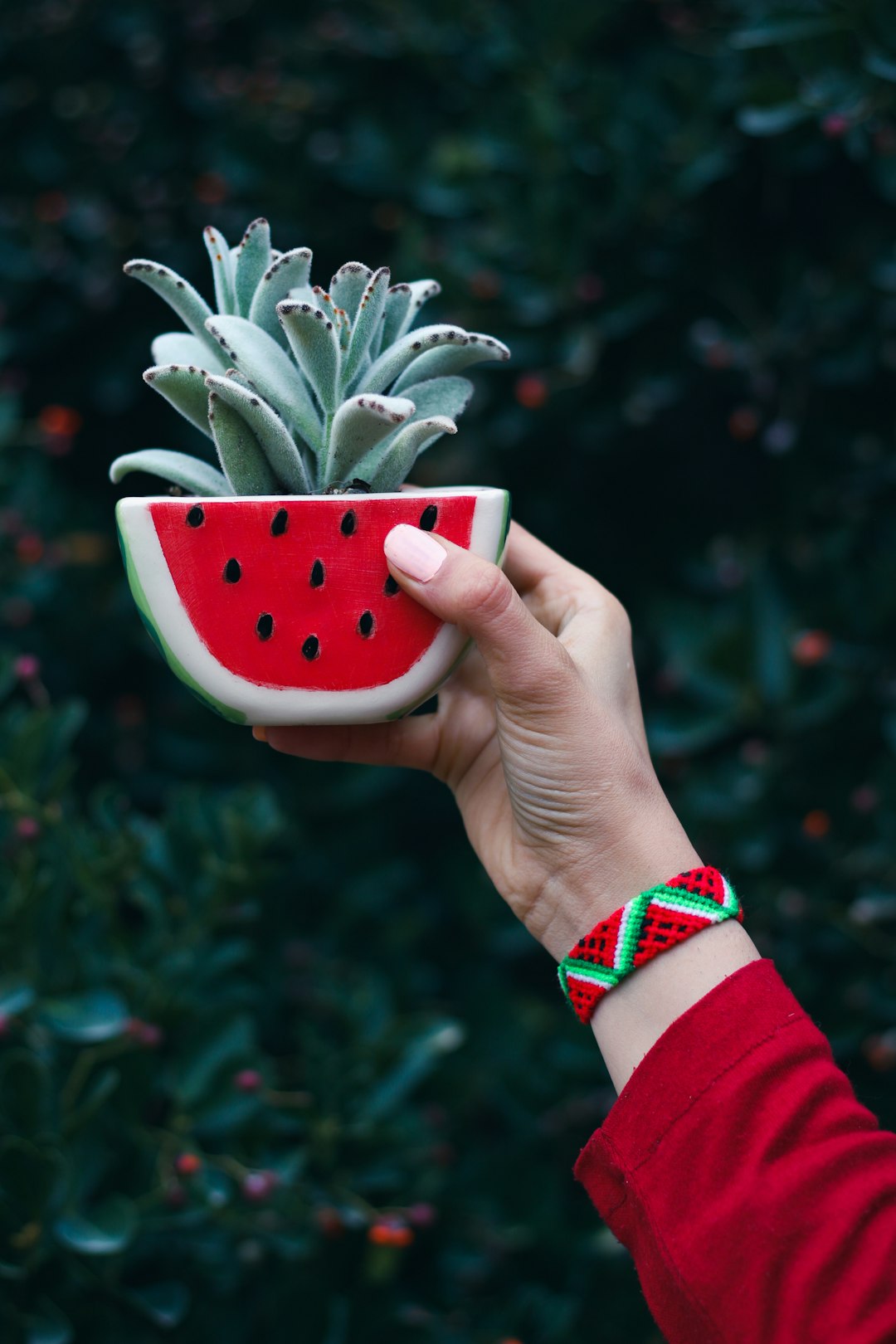 person holding green plant in white and red polka dot ceramic mug