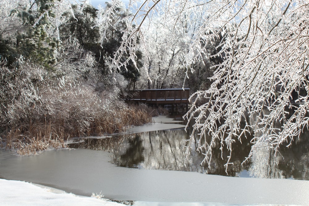 brown wooden bridge over snow covered ground