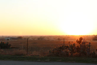 A peaceful sunset view over a spacious plot of land in Rancho Tecate, with mountains in the background.