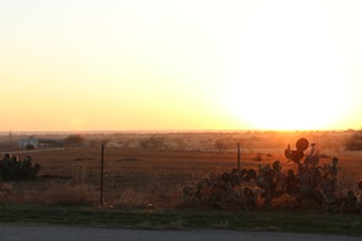 A serene sunset over the agave fields where Nanixhe mezcal is born