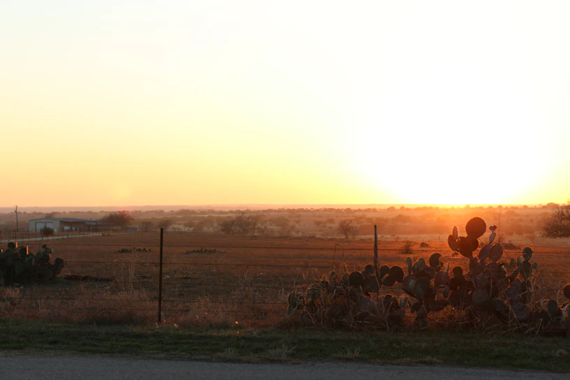 A scenic view of a green plot of land ready for building in Rancho Tecate at sunset.
