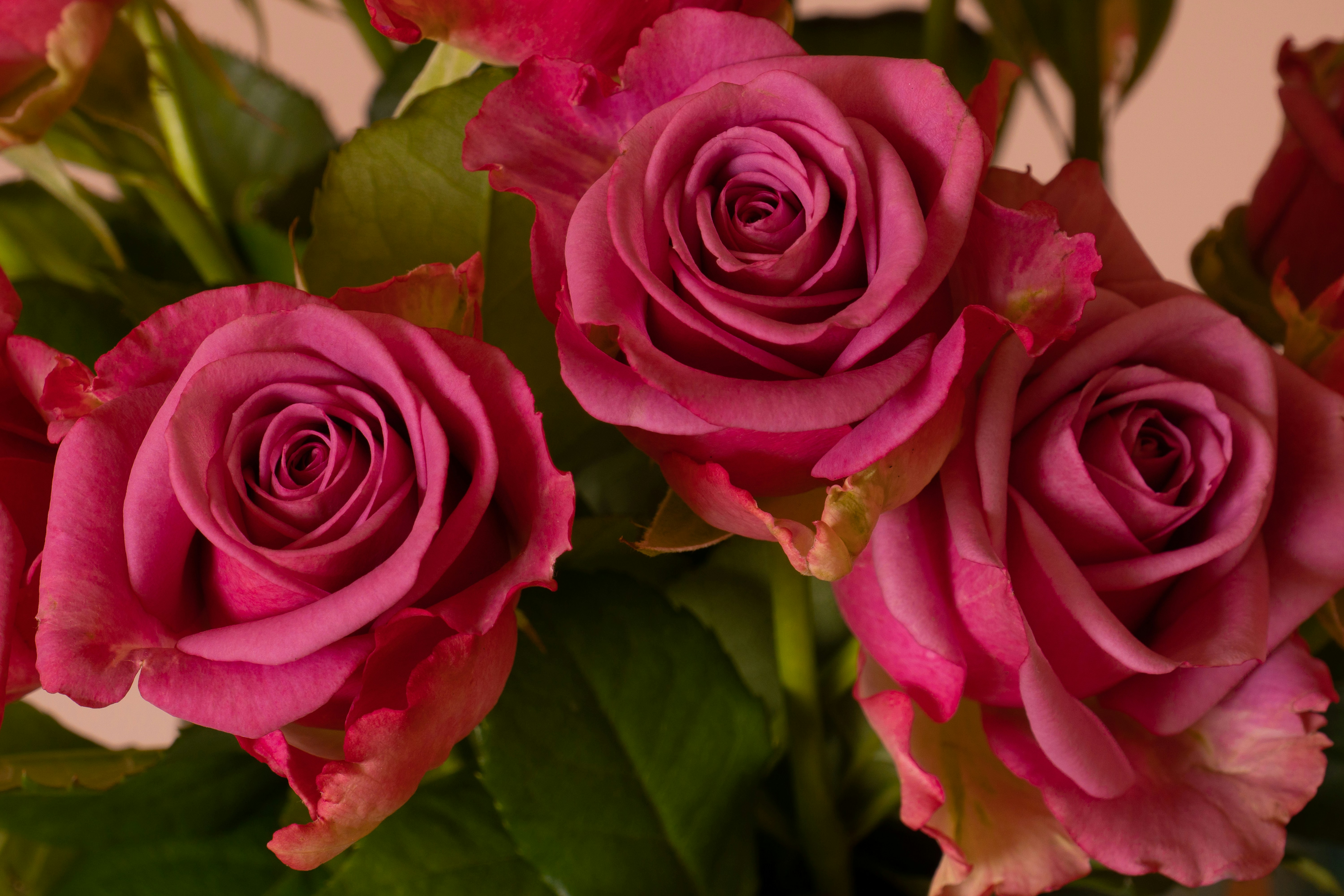 Photo by earl_plannerzone