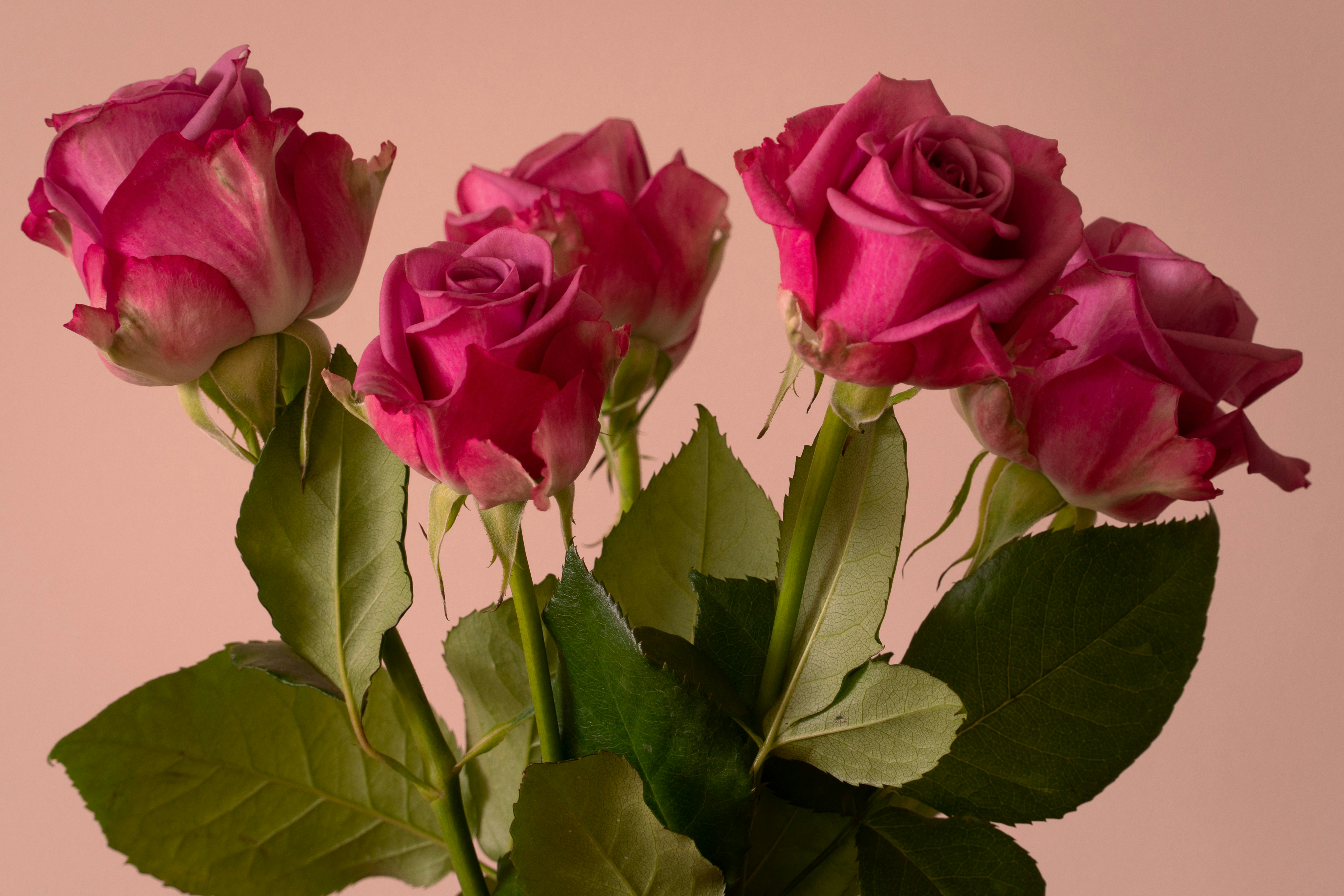 Photo by earl_plannerzone