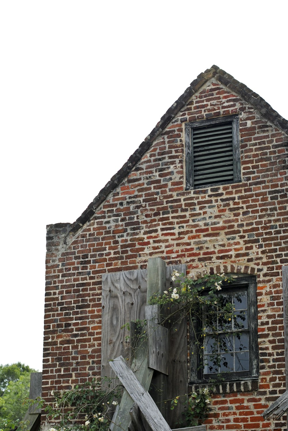 Maison en briques brunes avec des plantes vertes