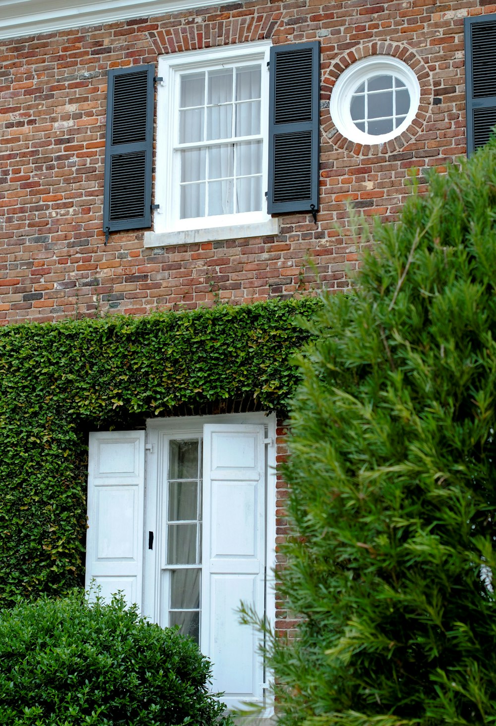 green plant beside brown brick wall