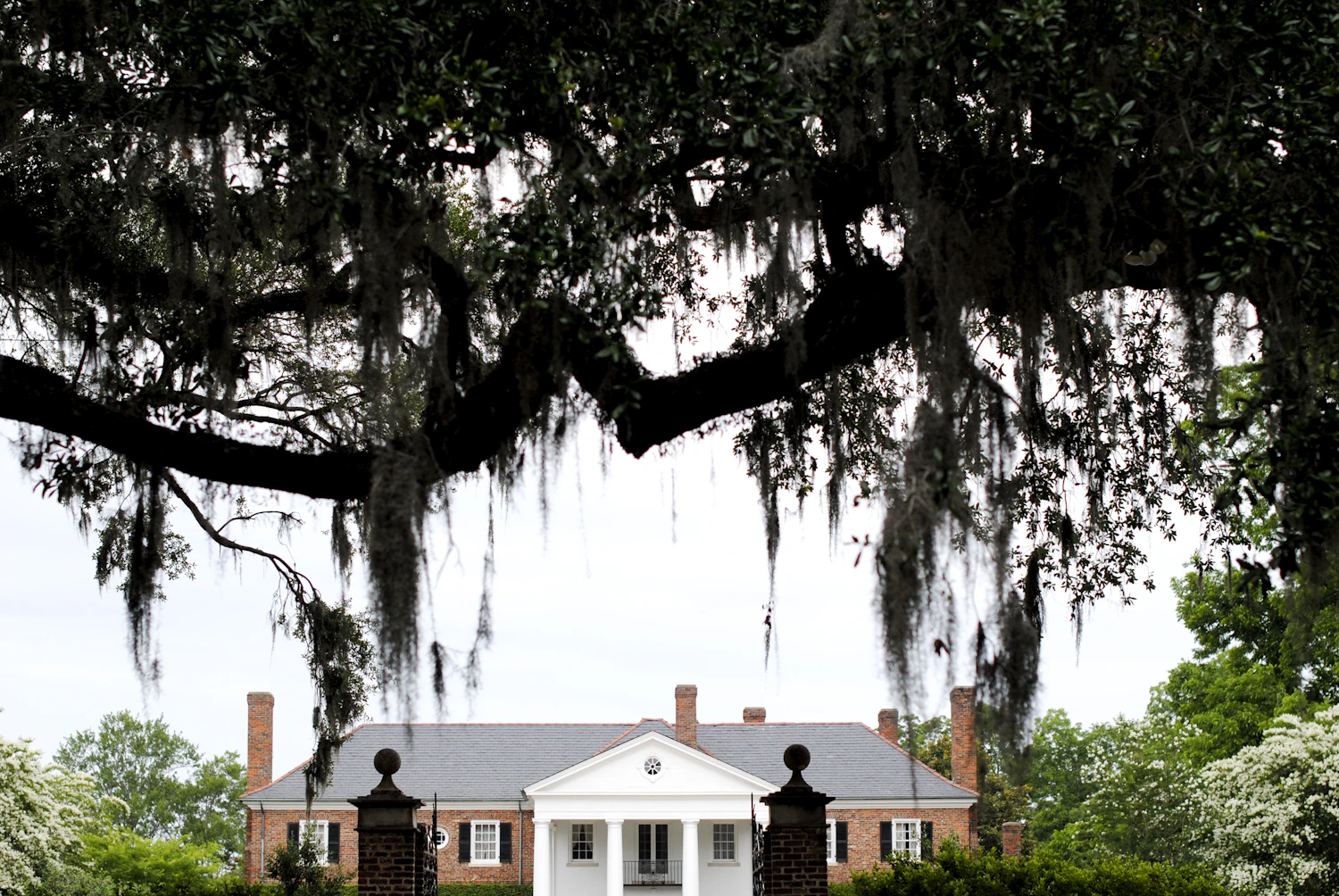 Mount Pleasant property management