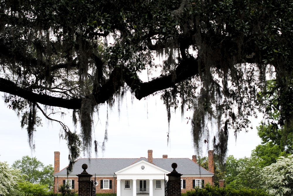 white and brown house near green trees during daytime