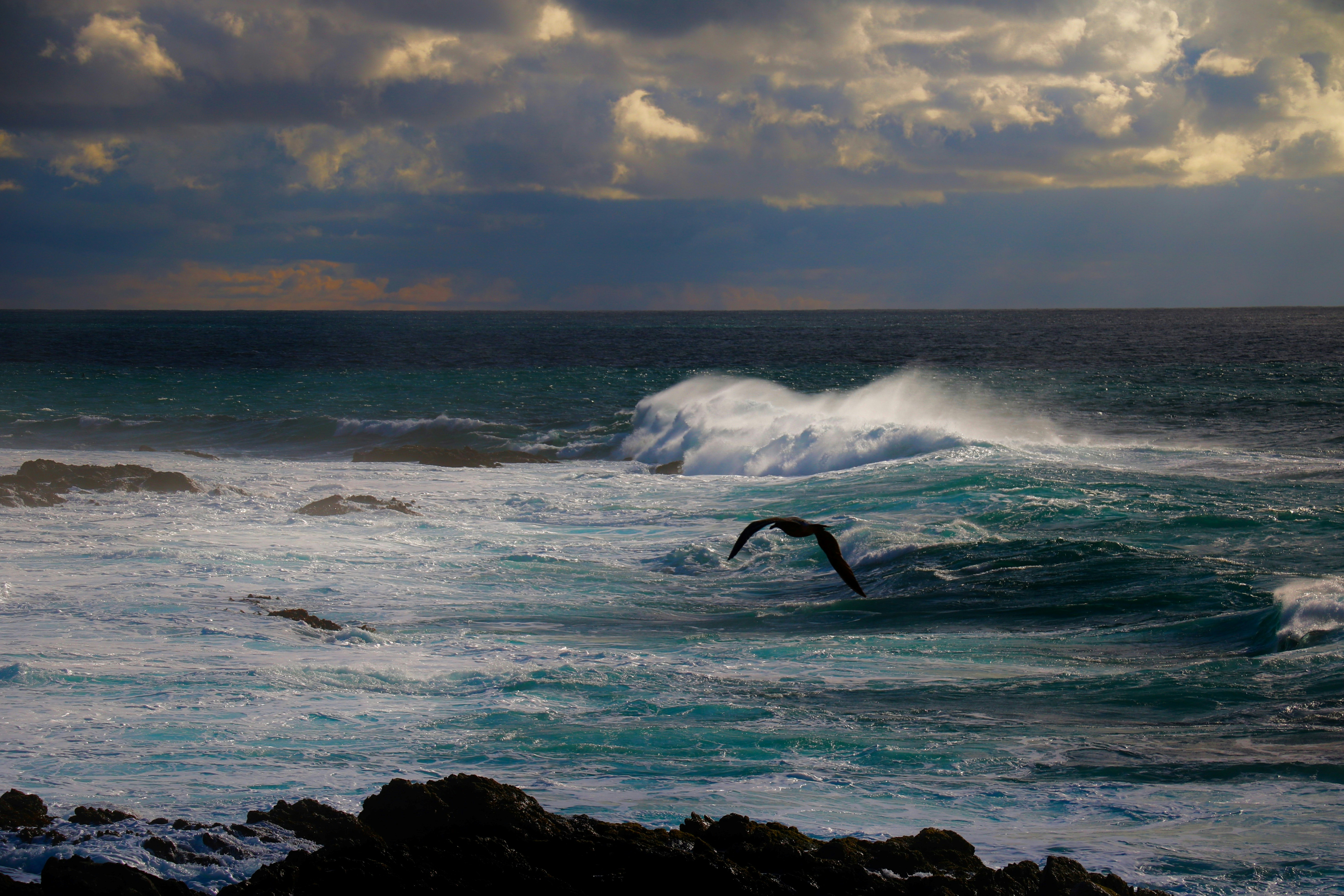 Photo by peterhjackson