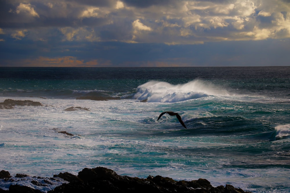 person surfing on sea waves during daytime