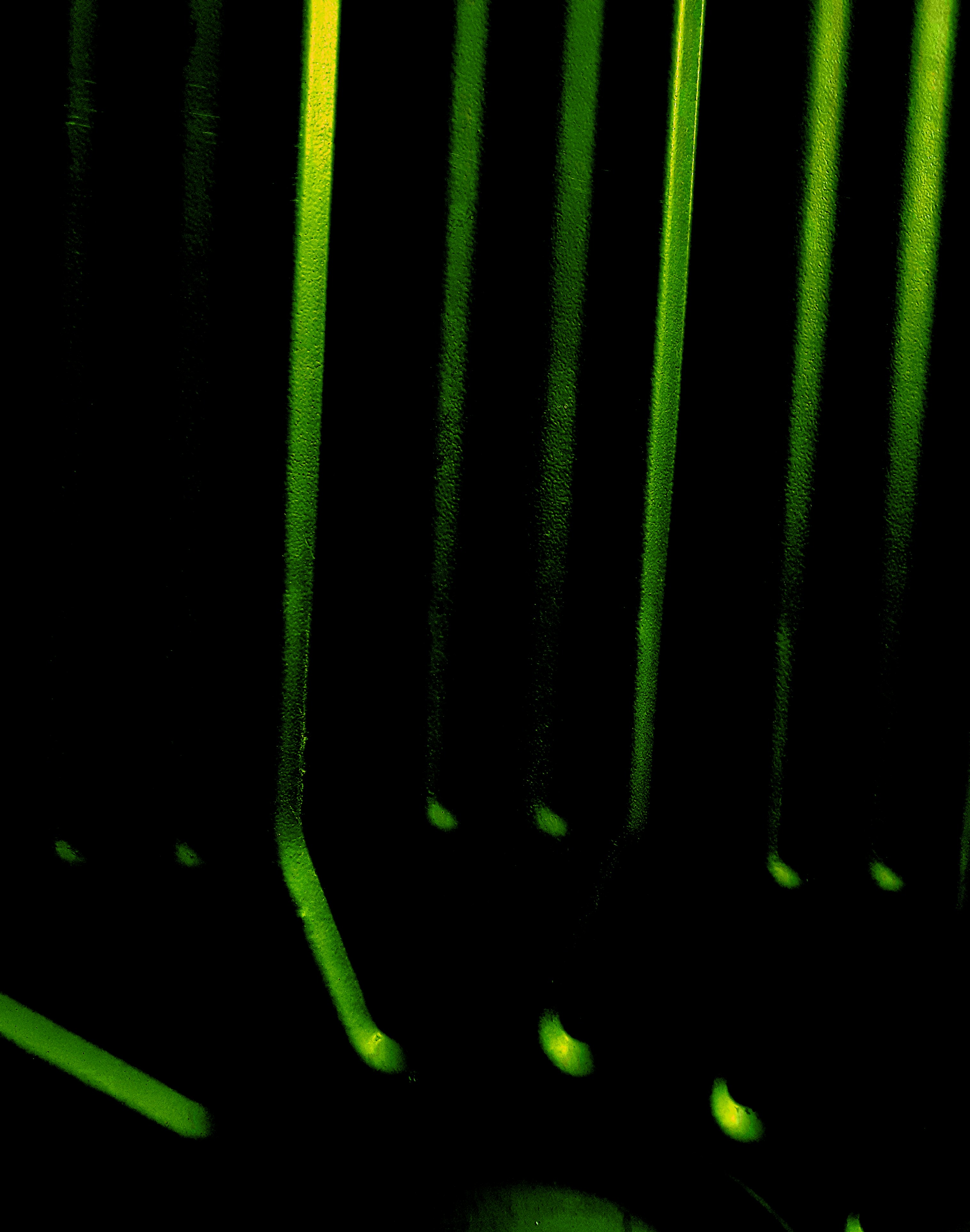 Photo by vijayprakash795