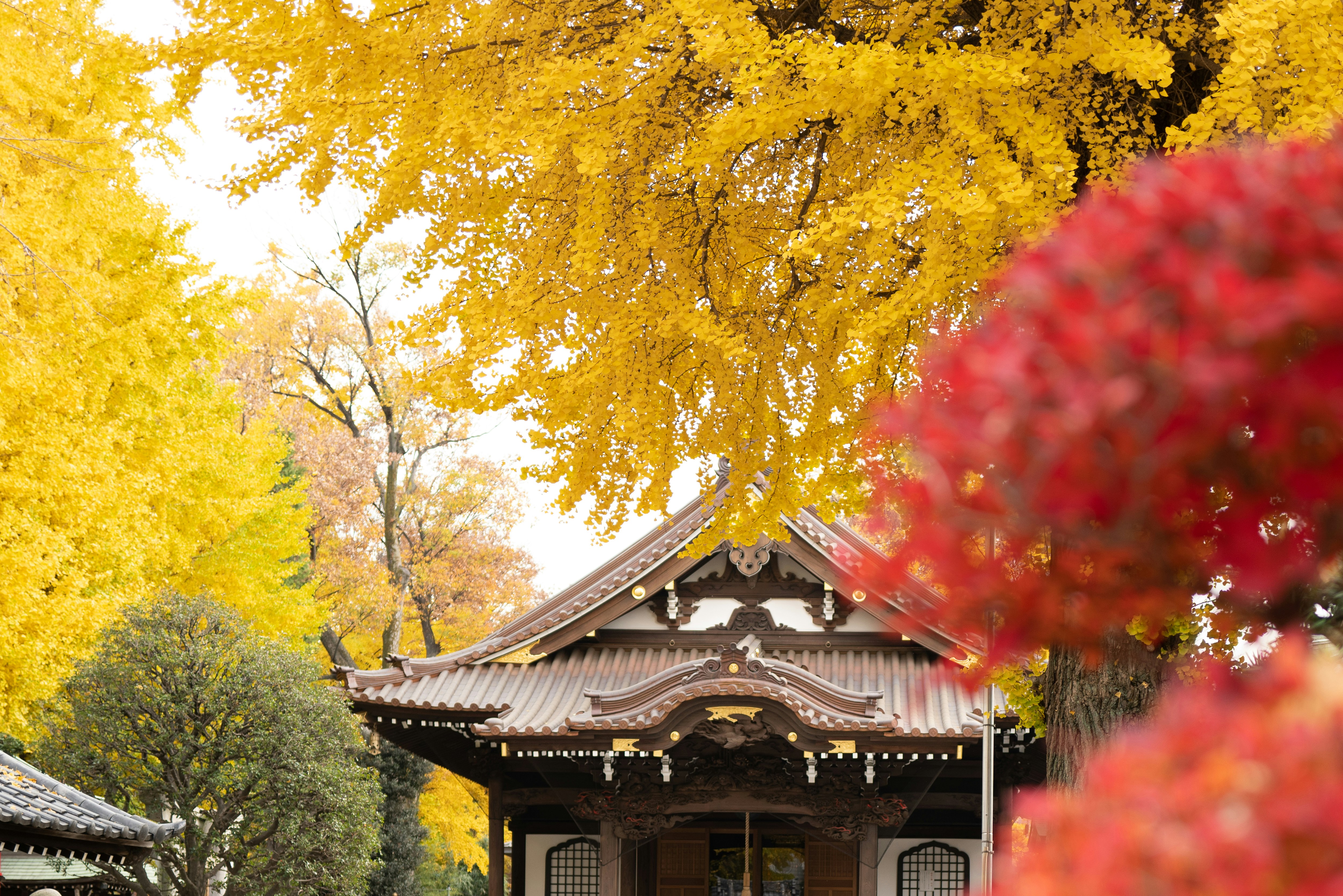 Photo by likaw
