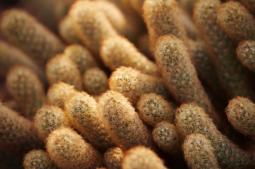 brown and white fur textile