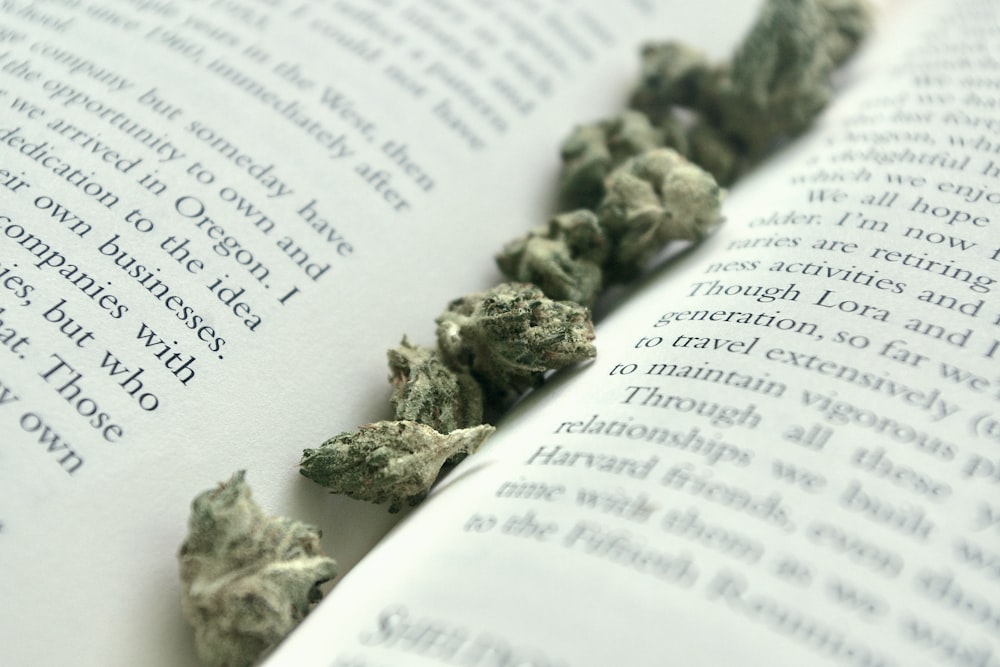 green kush on white book page