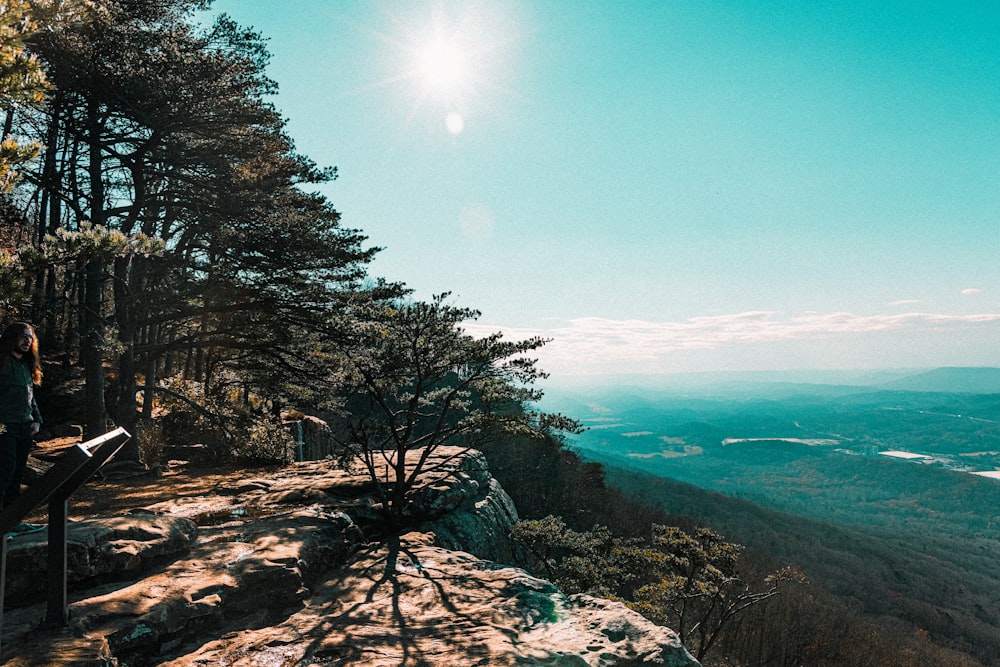 green trees on brown rocky mountain during daytime