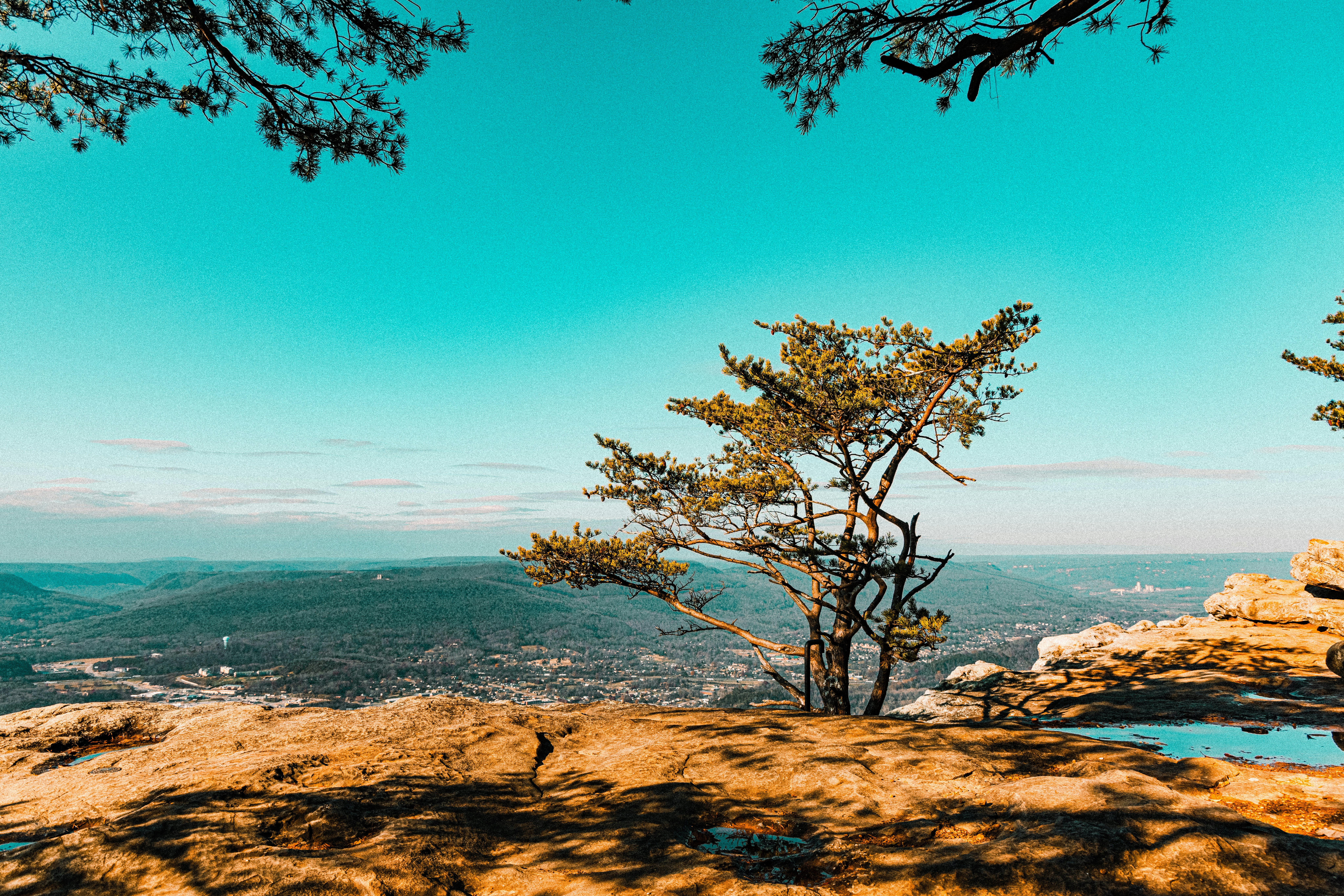 Photo by matthewjungling