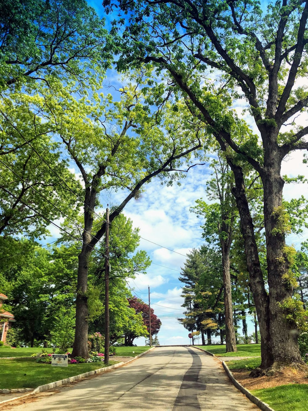 green trees near white wooden fence during daytime