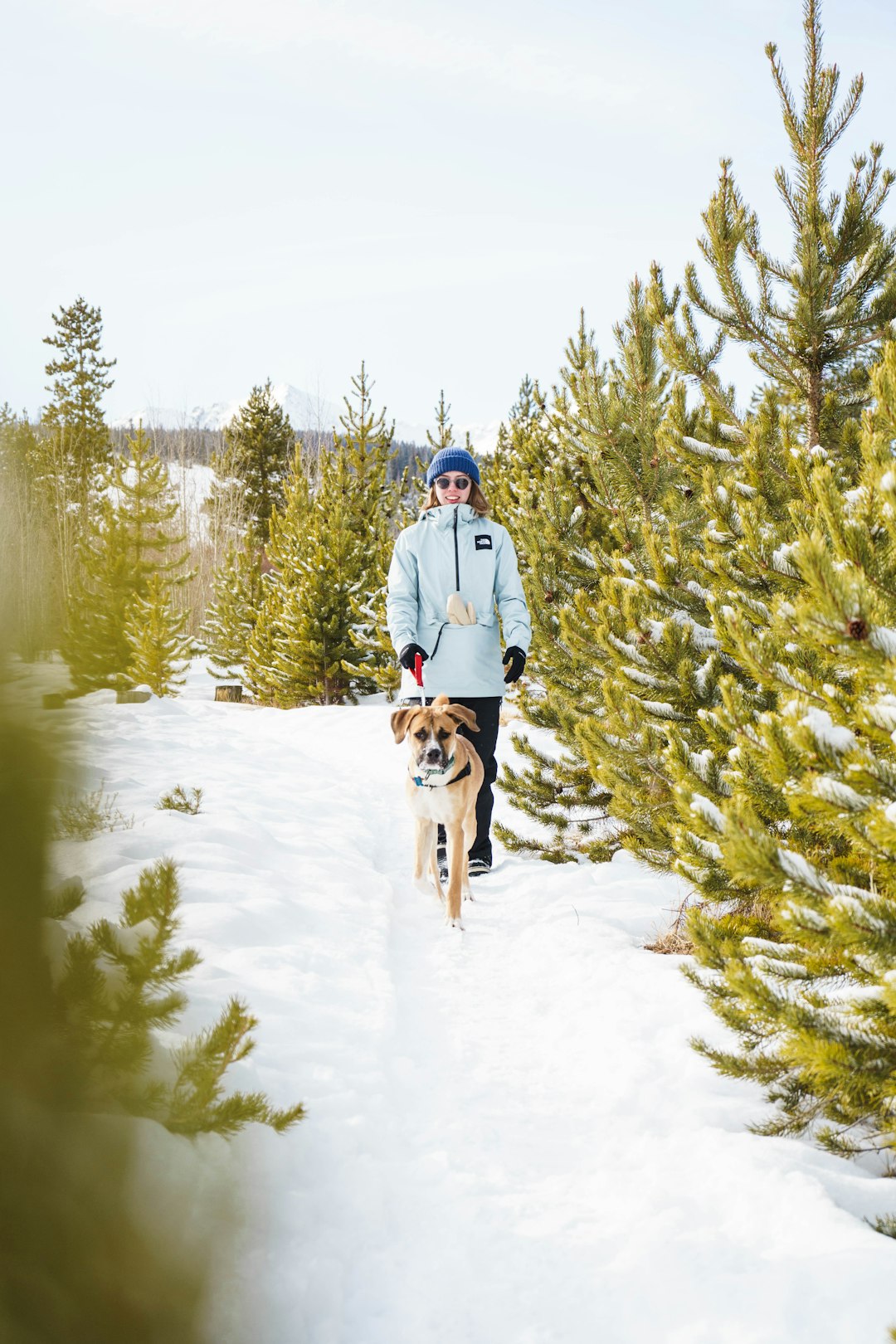 man in blue jacket and brown pants holding brown dog on snow covered ground during daytime