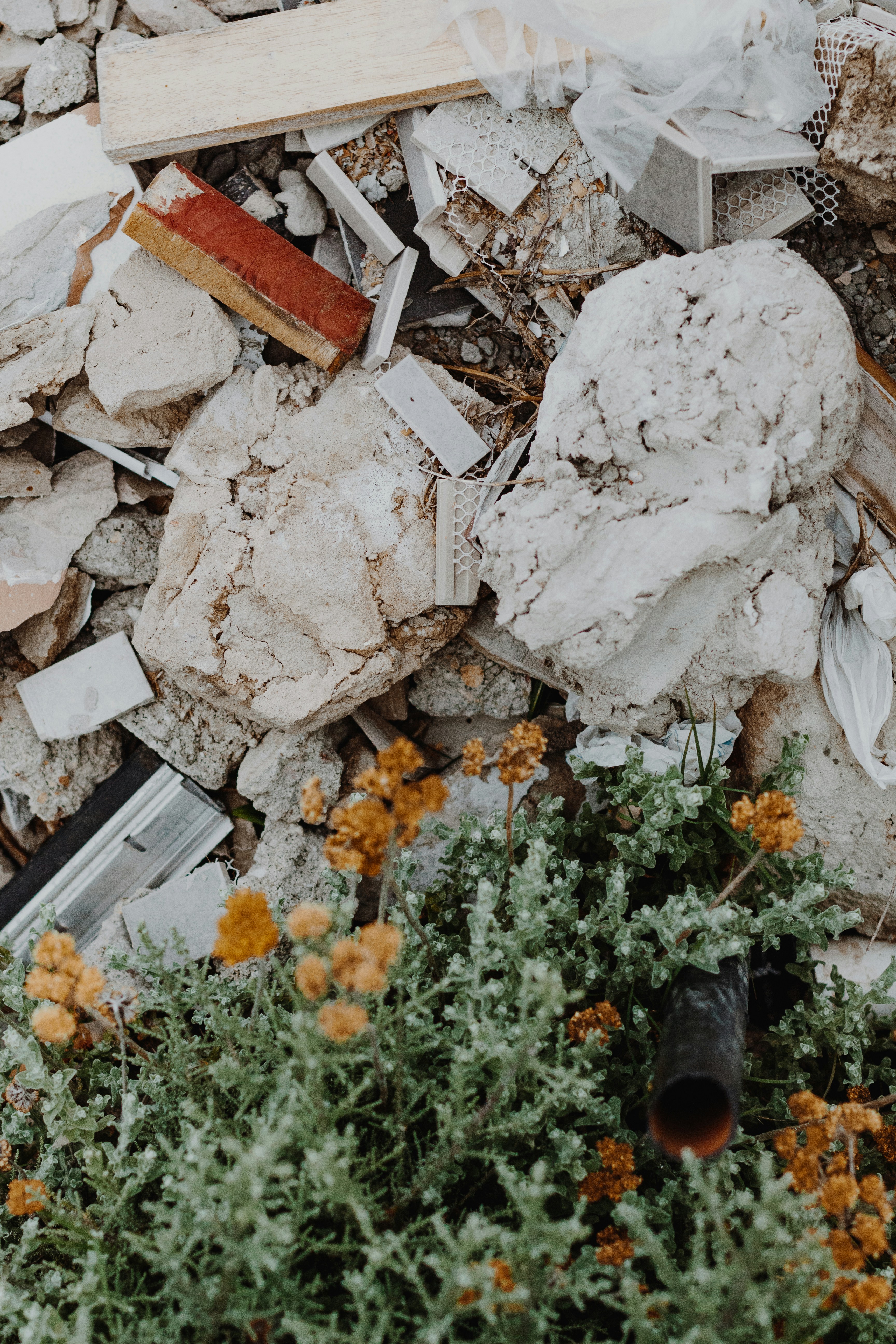 Photo by sincerelymedia