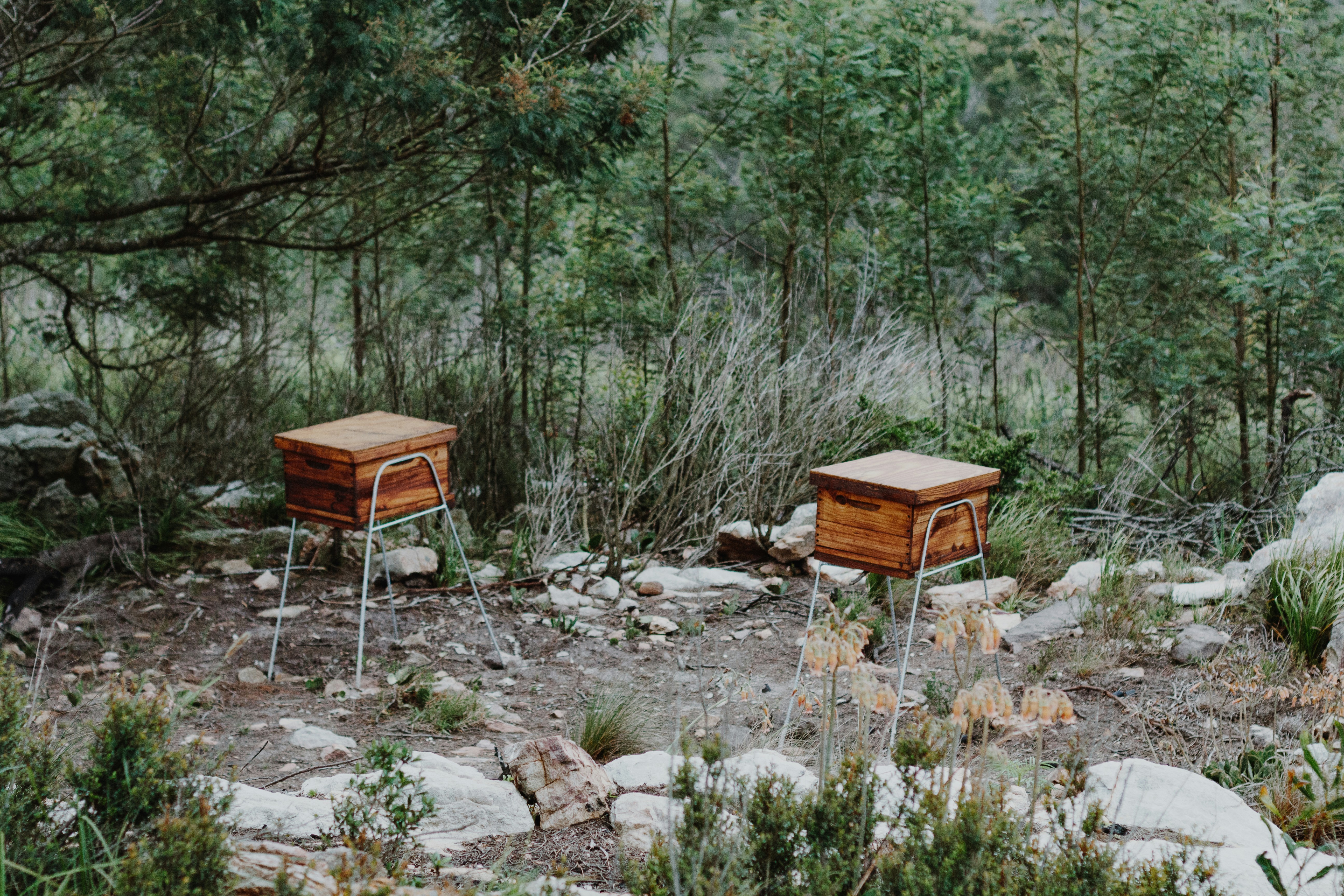 Honey Brook Borough Park