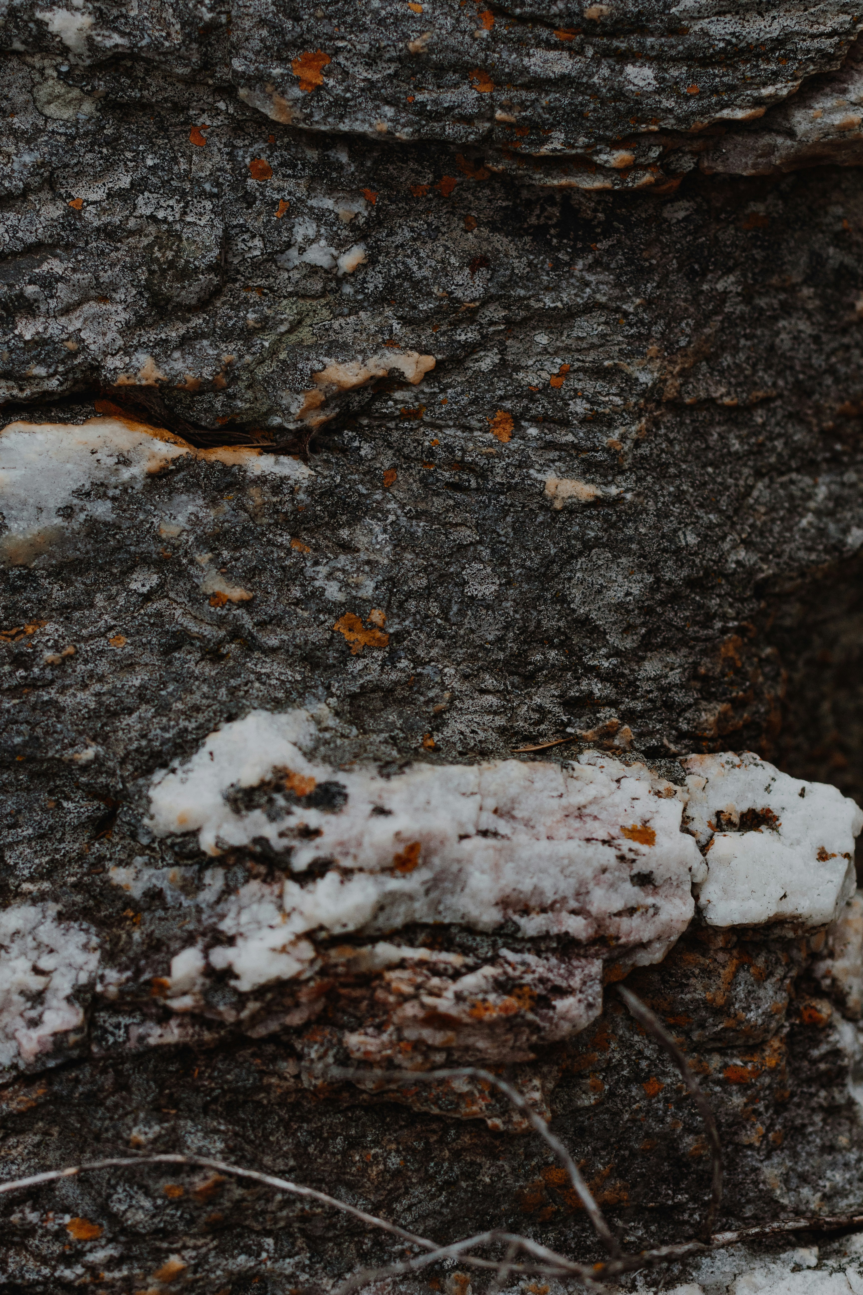 Photo by sincerelymedia