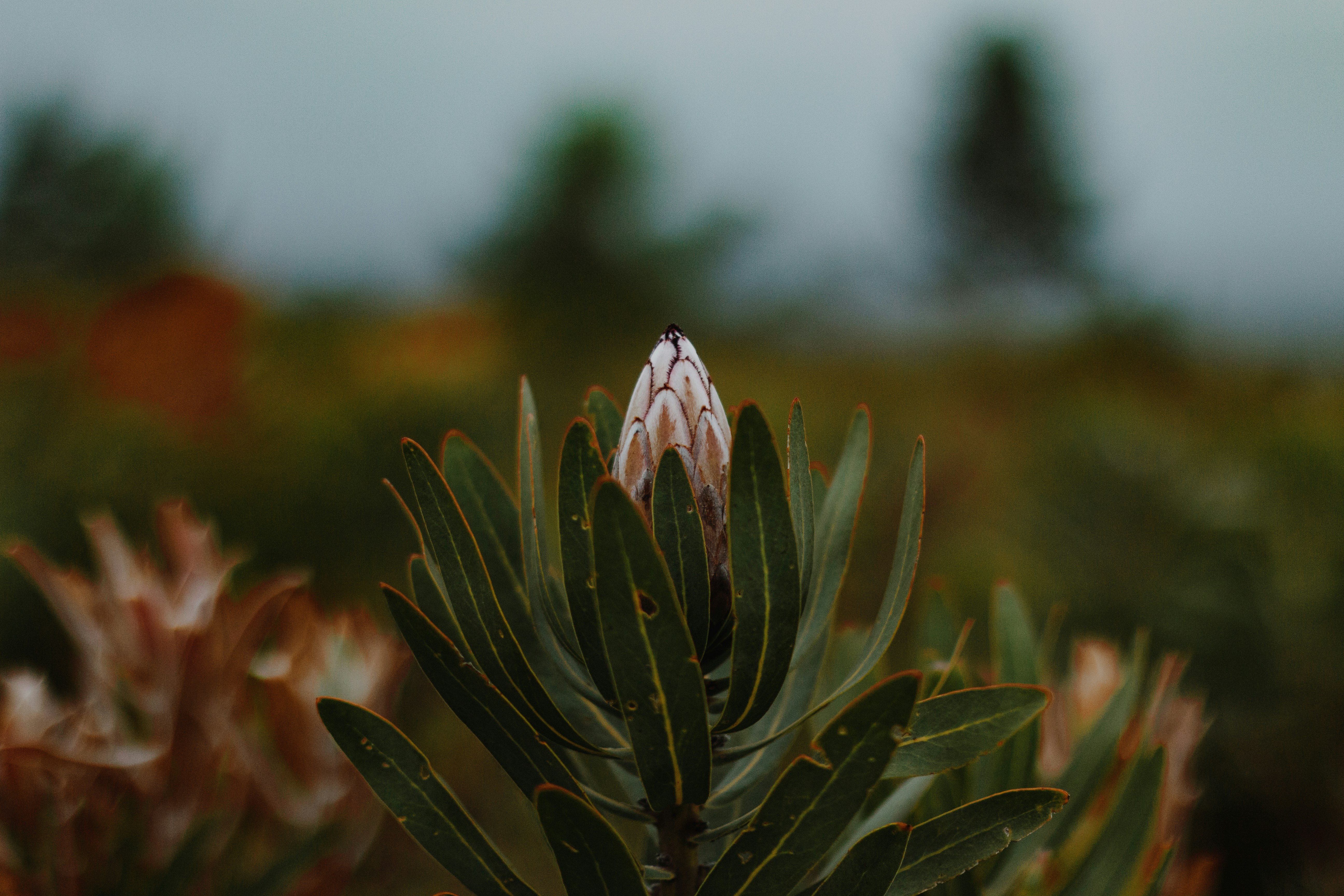 Photo by sincerelymedia