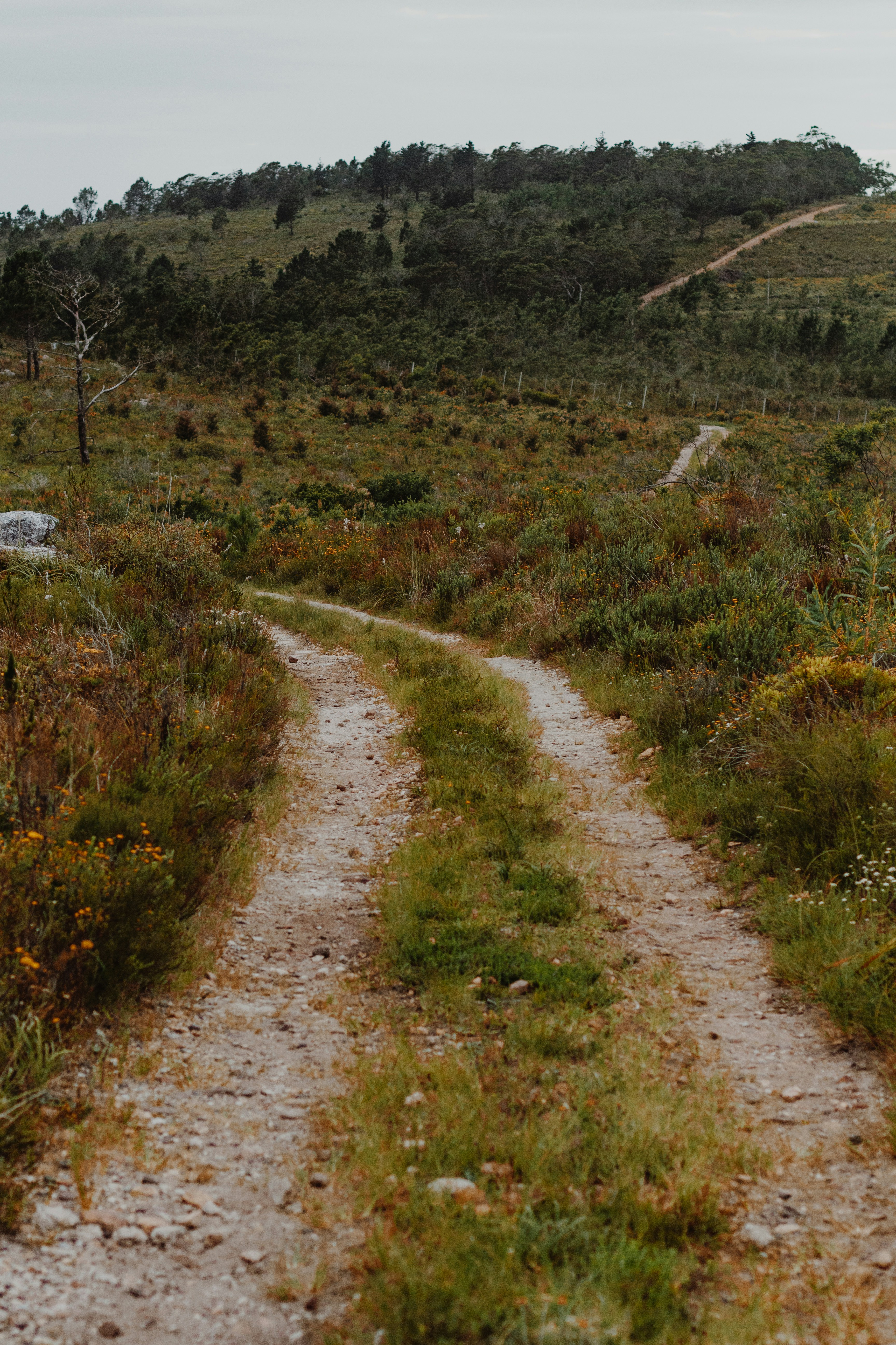 Photo by sincerelymedia