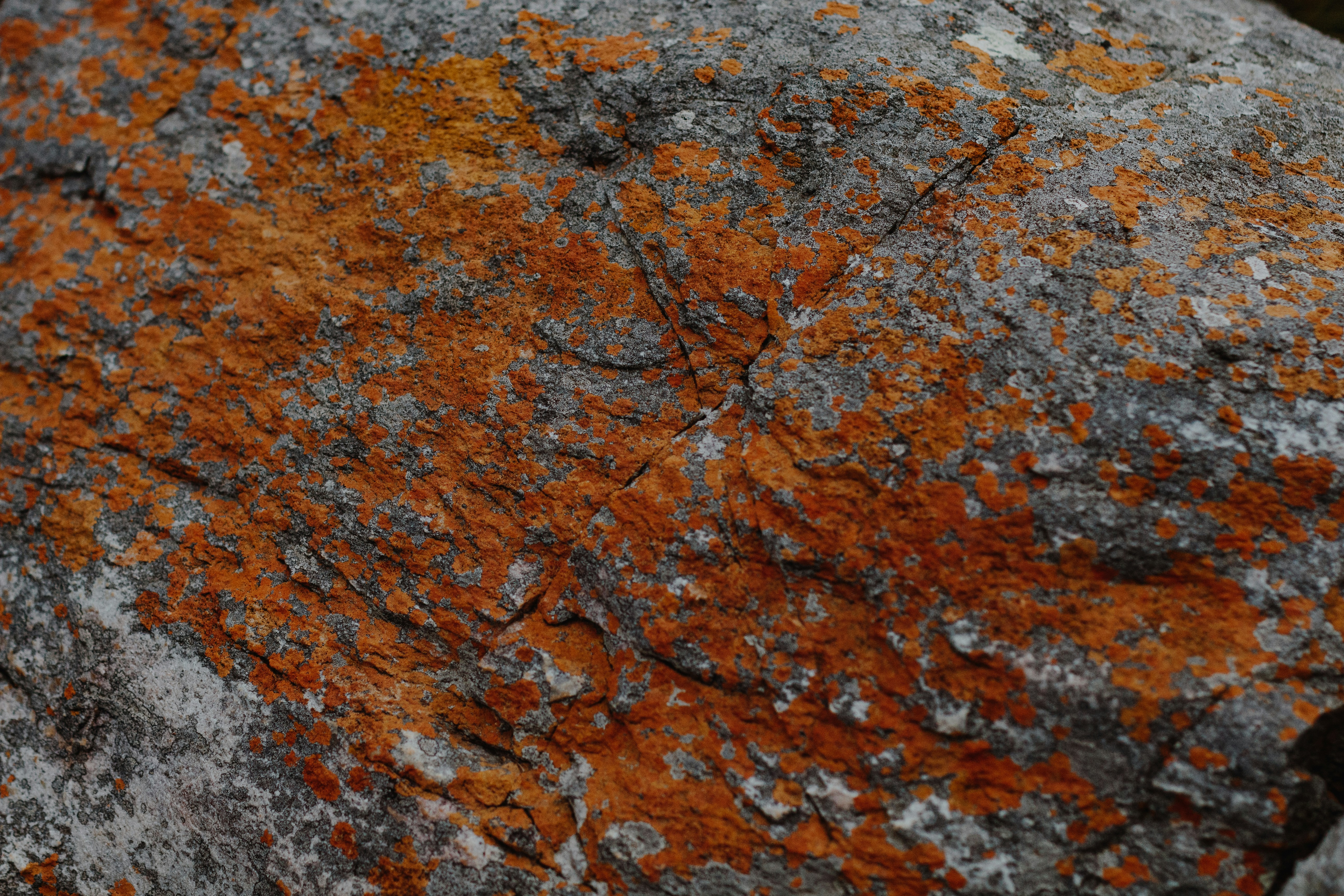 Photo by sincerelymedia