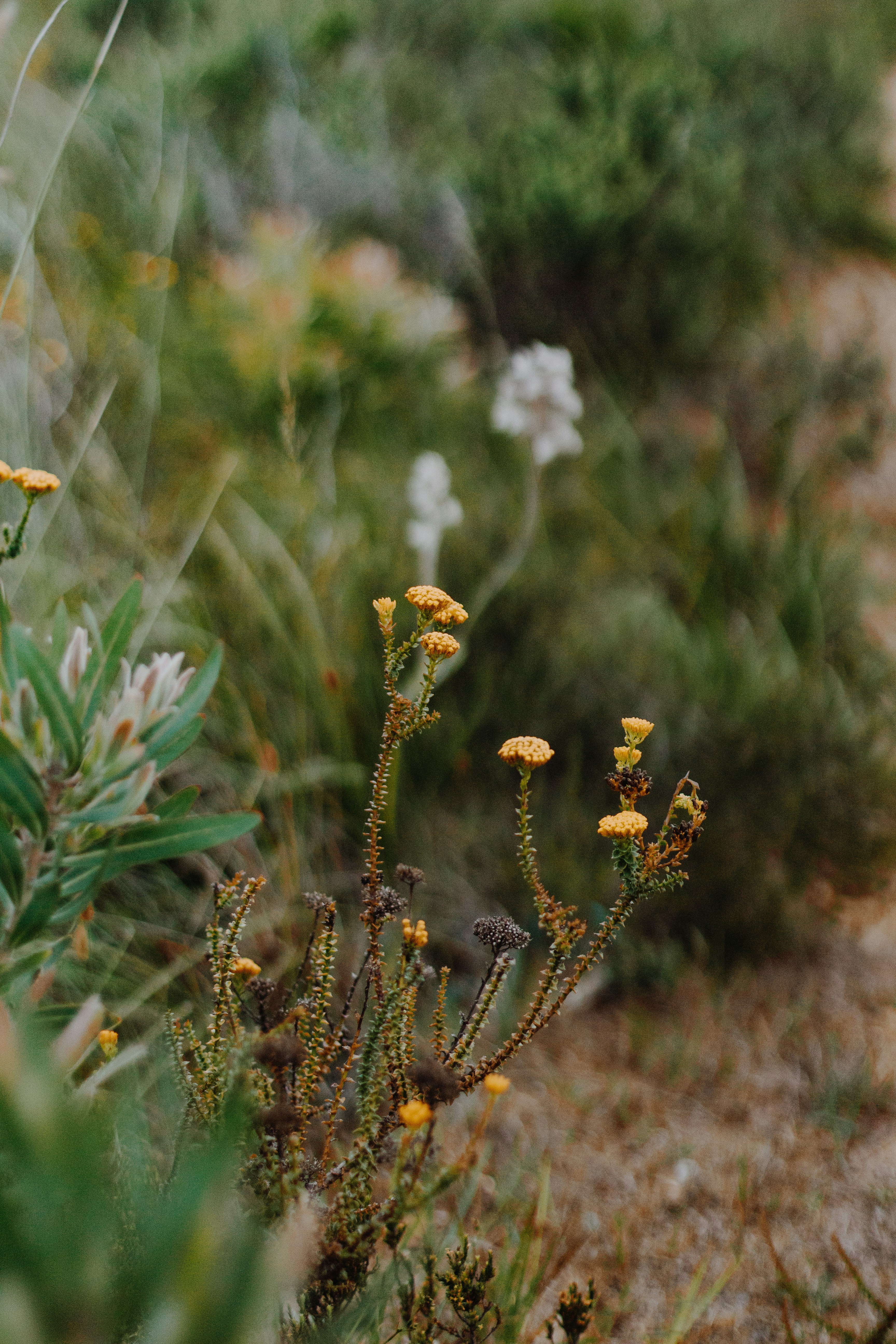 Photo by sincerelymedia