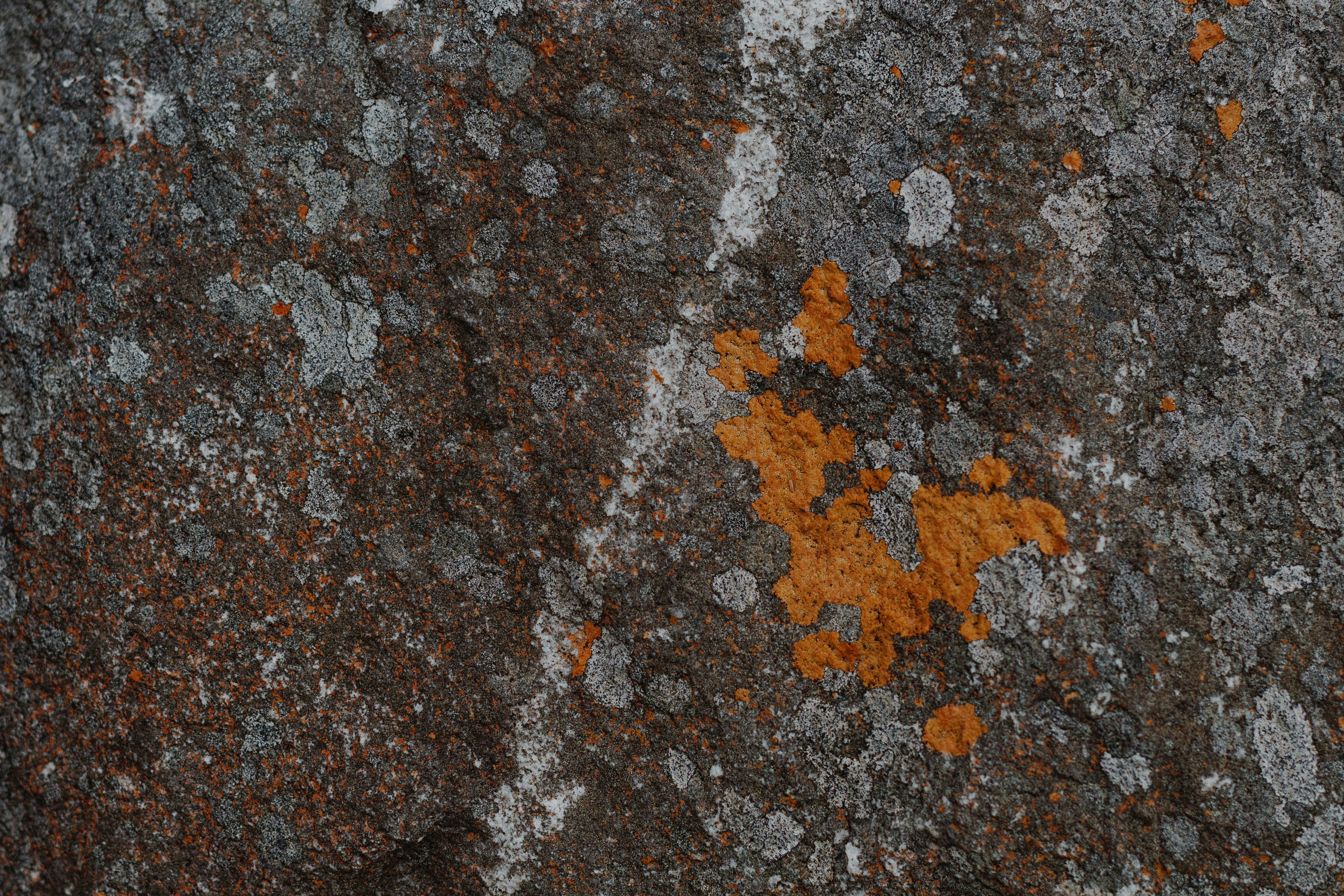 Photo by sincerelymedia