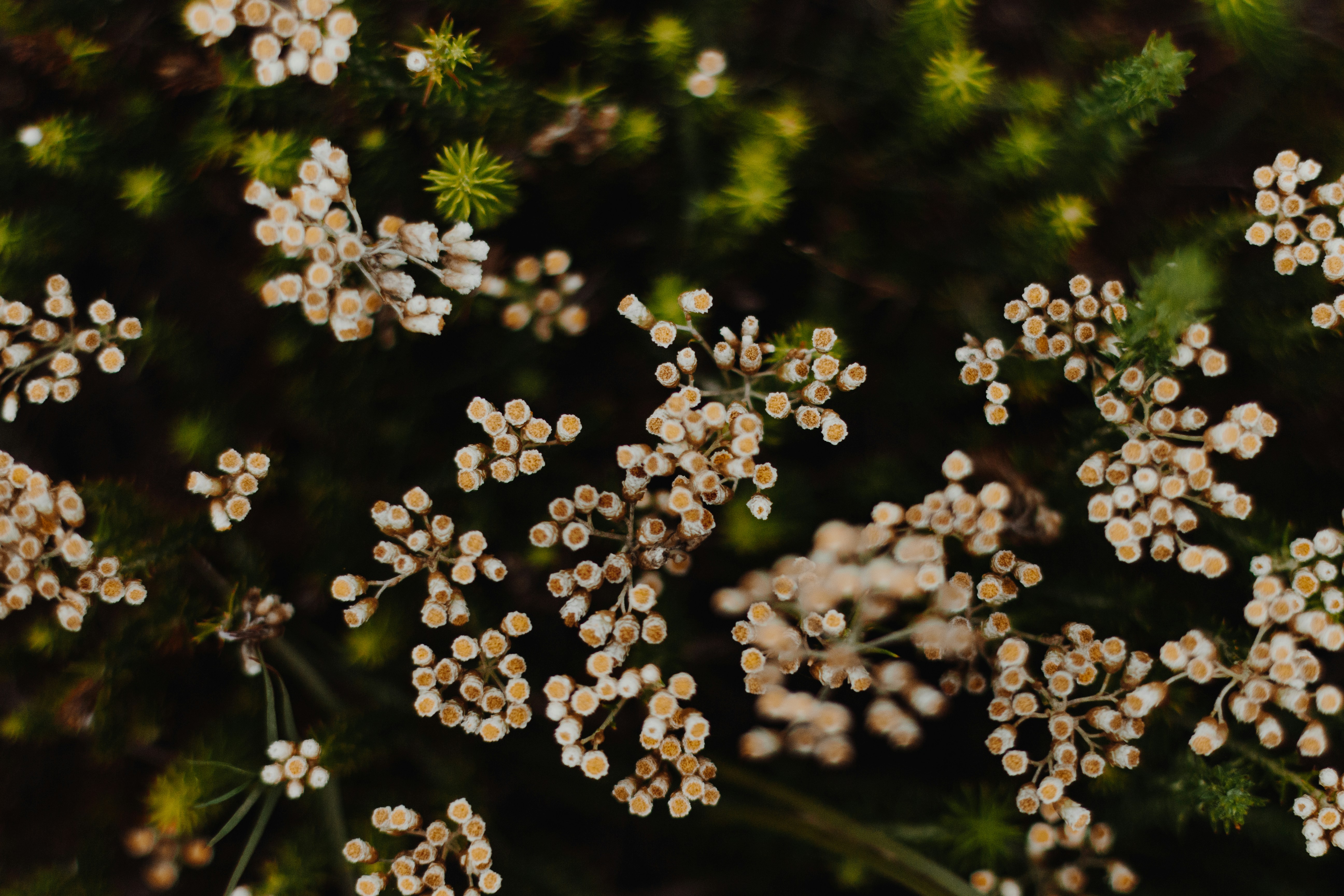 Photo by sincerelymedia