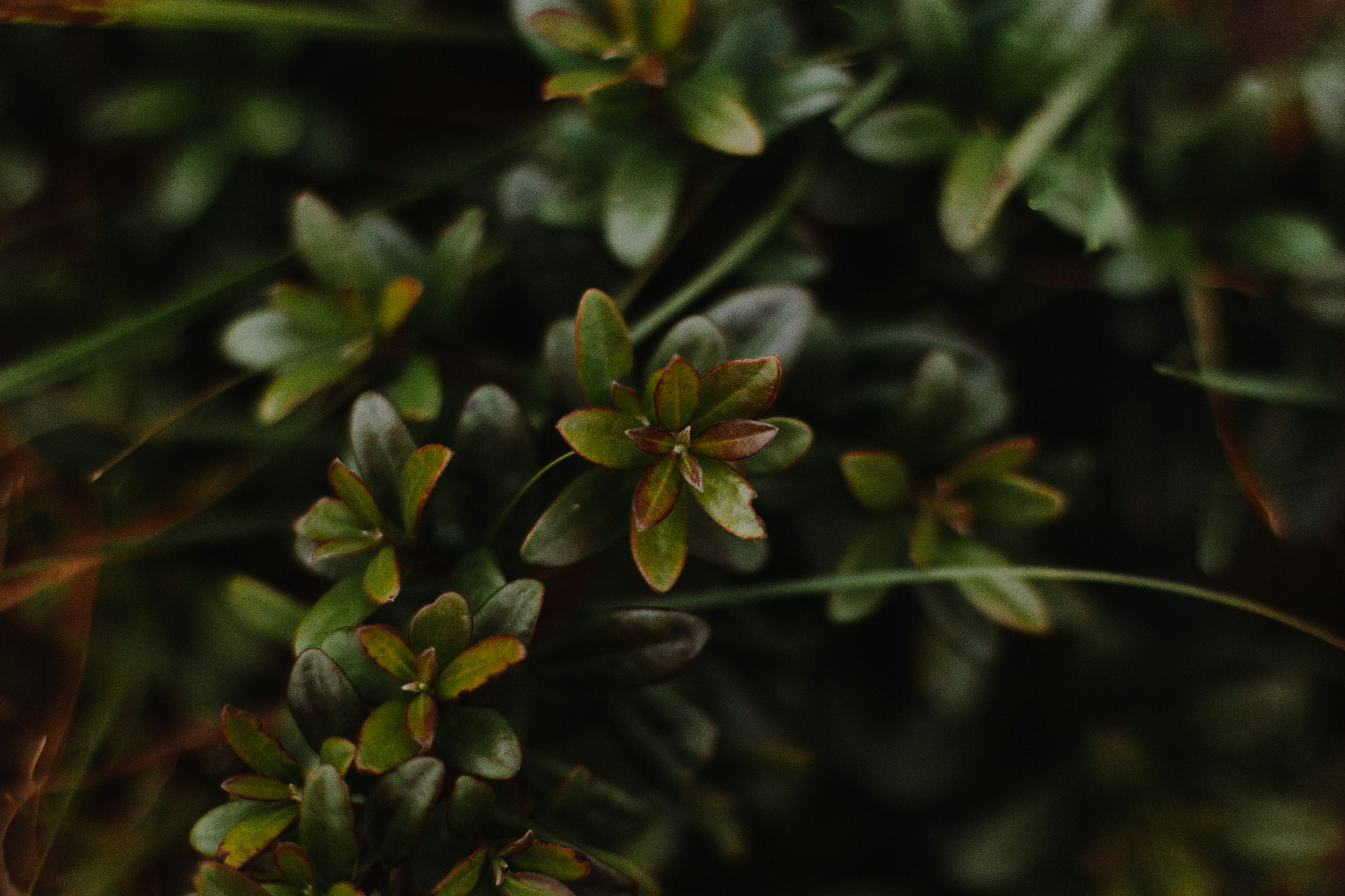 Photo by sincerelymedia