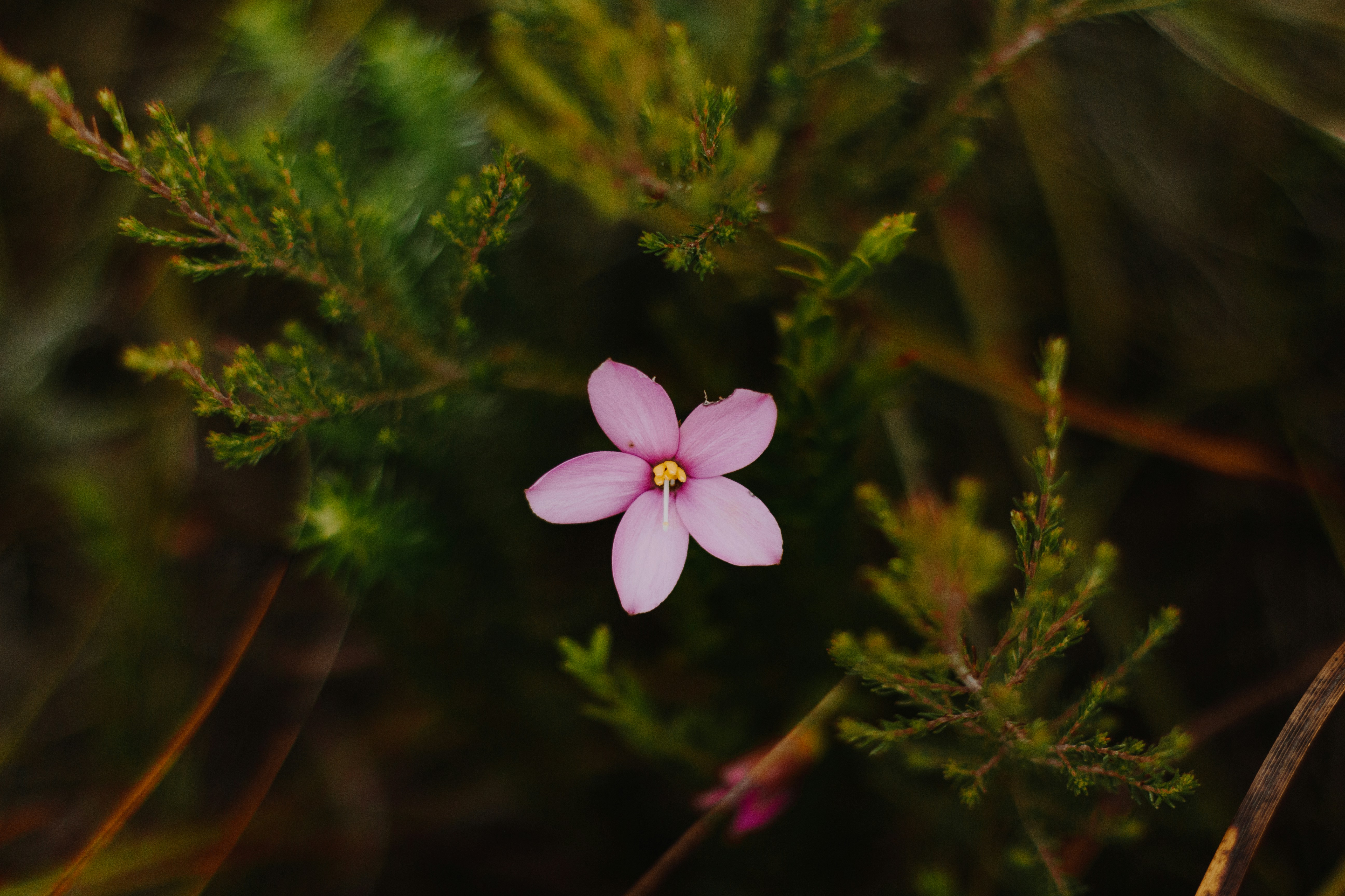 Photo by sincerelymedia