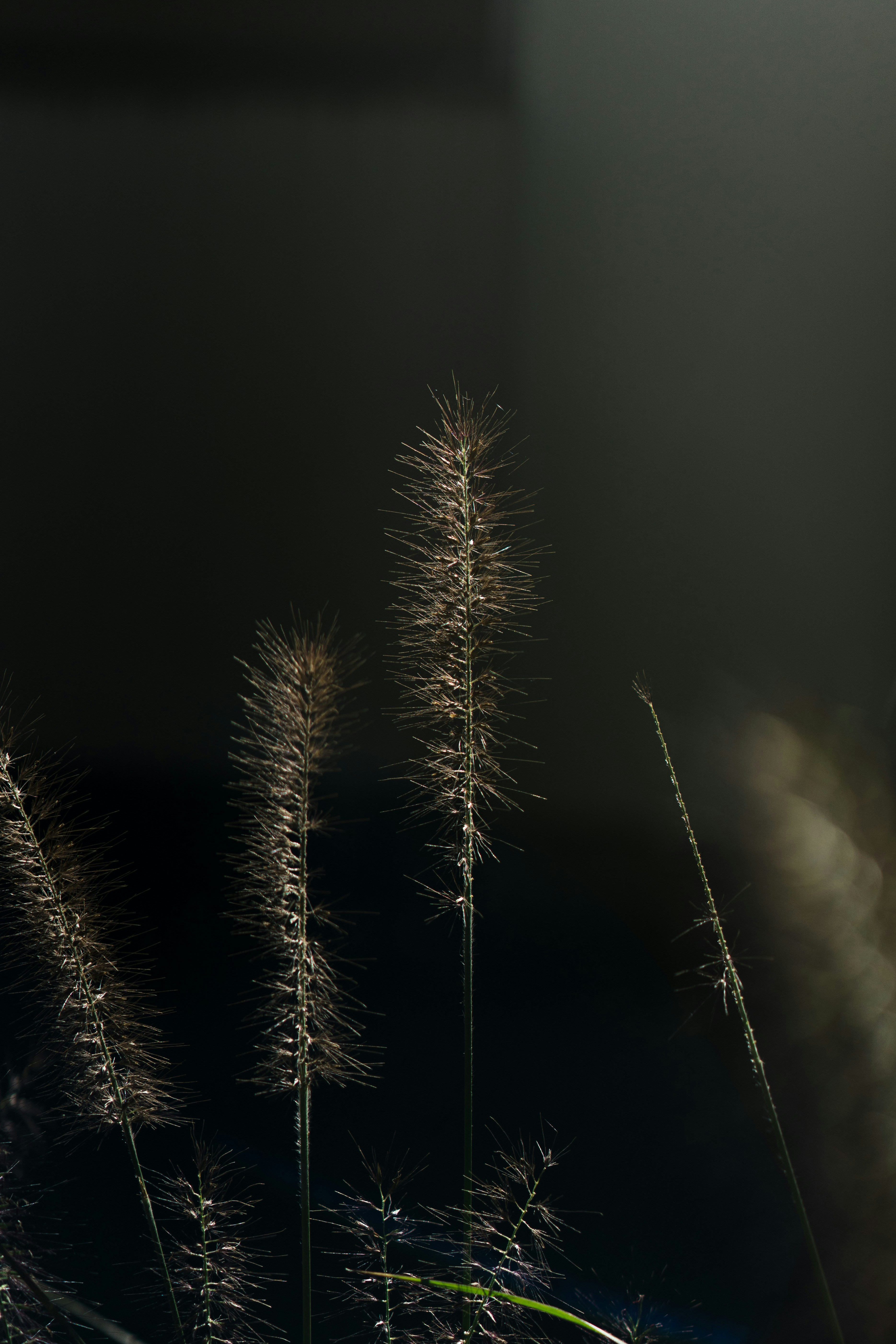 Photo by _______life_