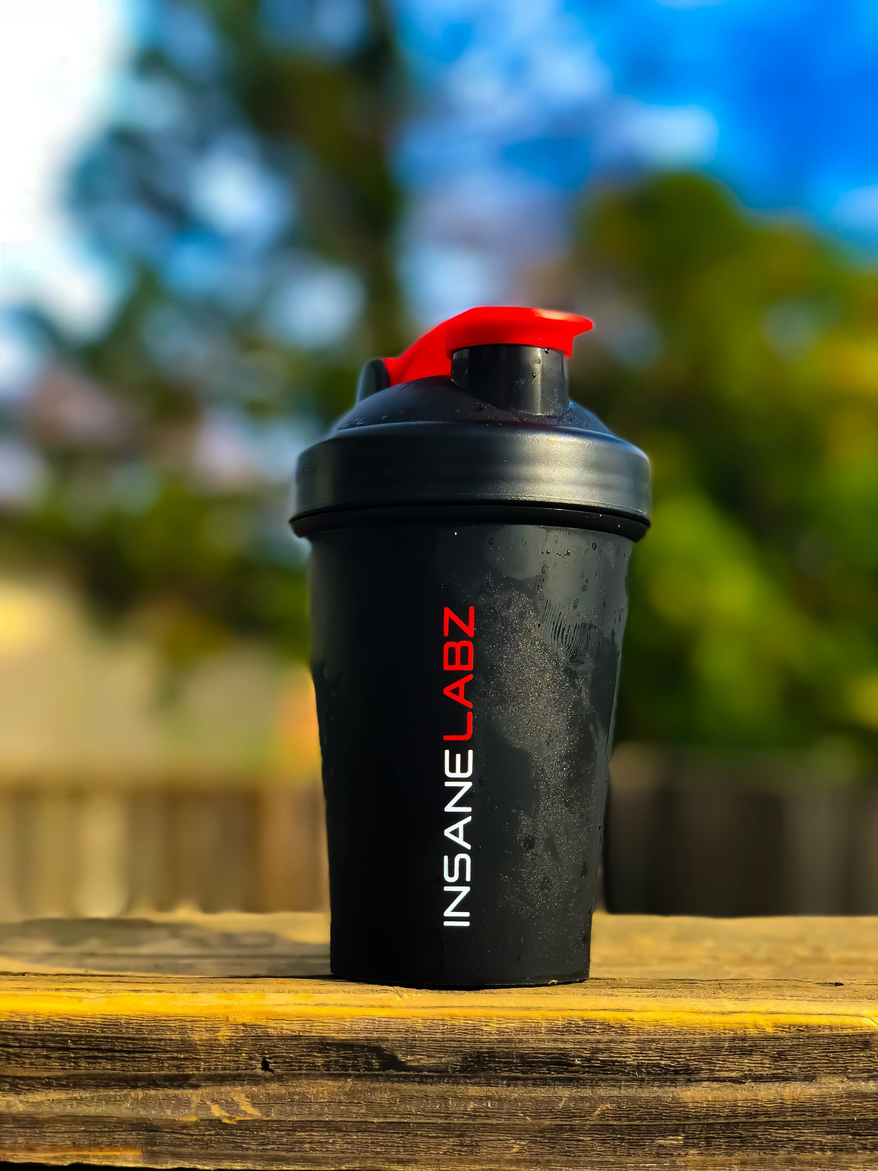 Weltmilchtag 2023: Die Bedeutung von Milch für unsere Gesundheit