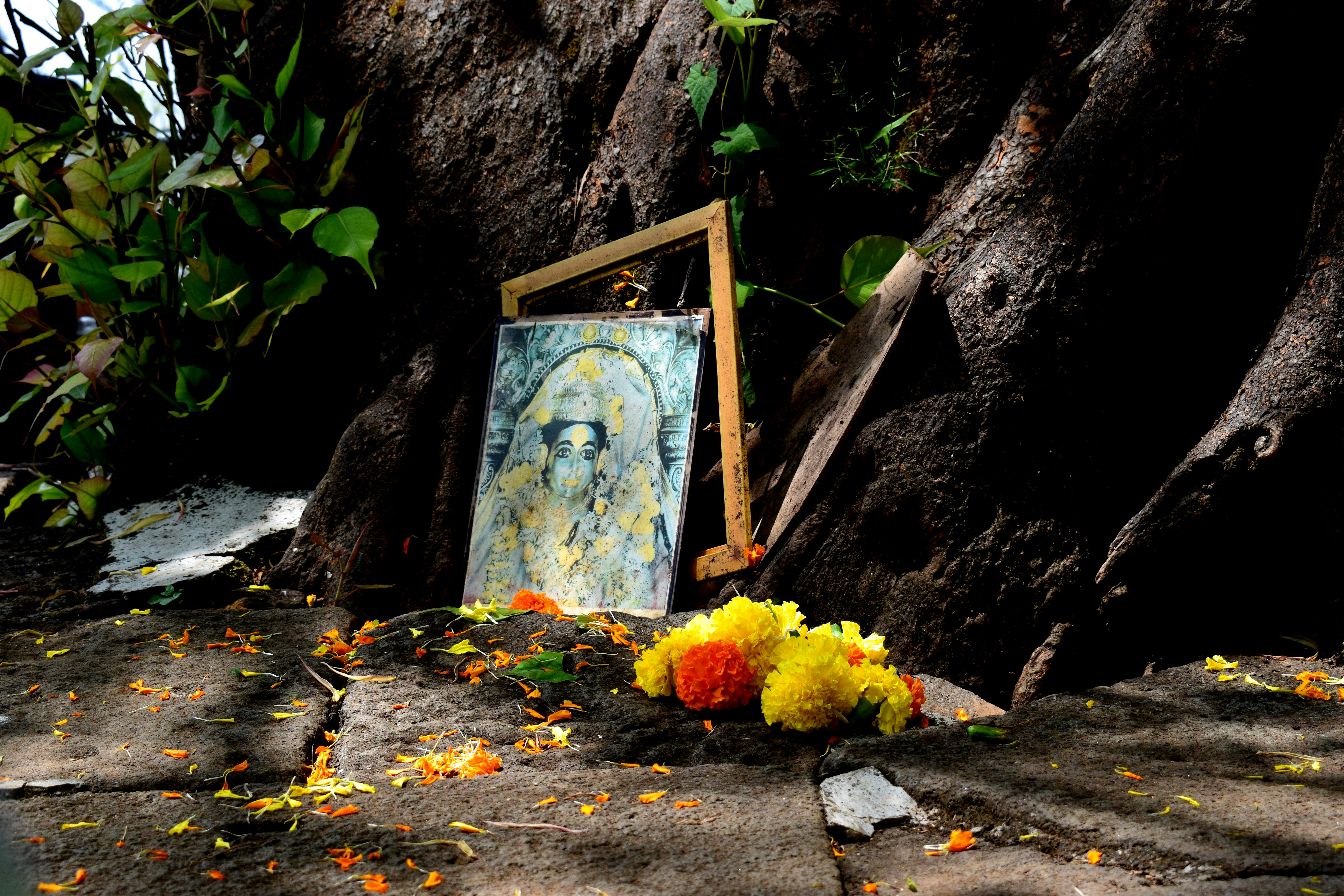 brown wooden frame on gray concrete floor