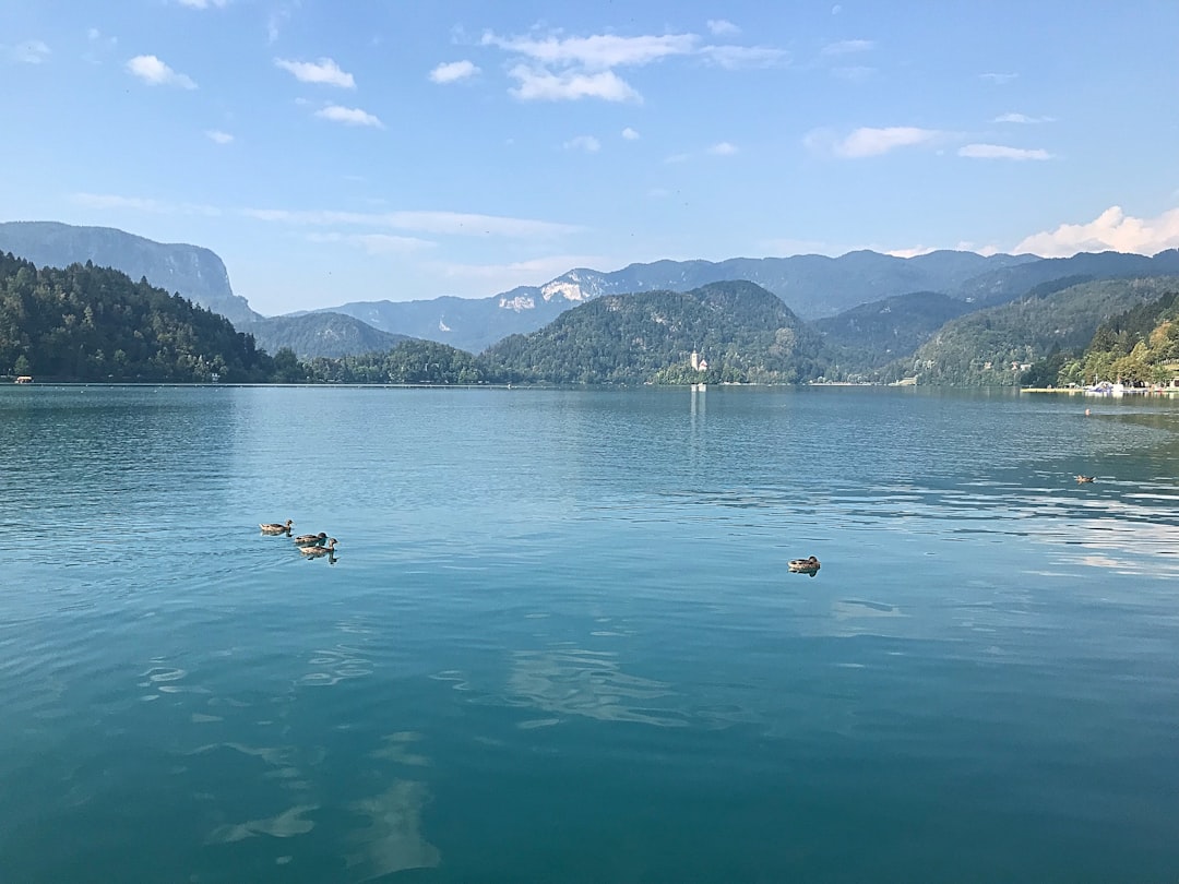 Watercourse photo spot Lake Bled Mala Osojnica