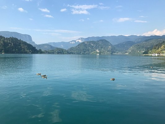 Person riding on boat on sea during daytime — Lake Bled, Slovenia