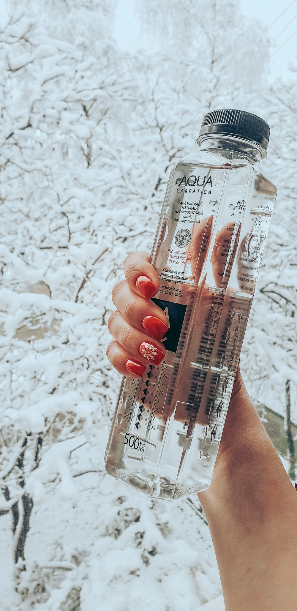 person holding clear glass bottle