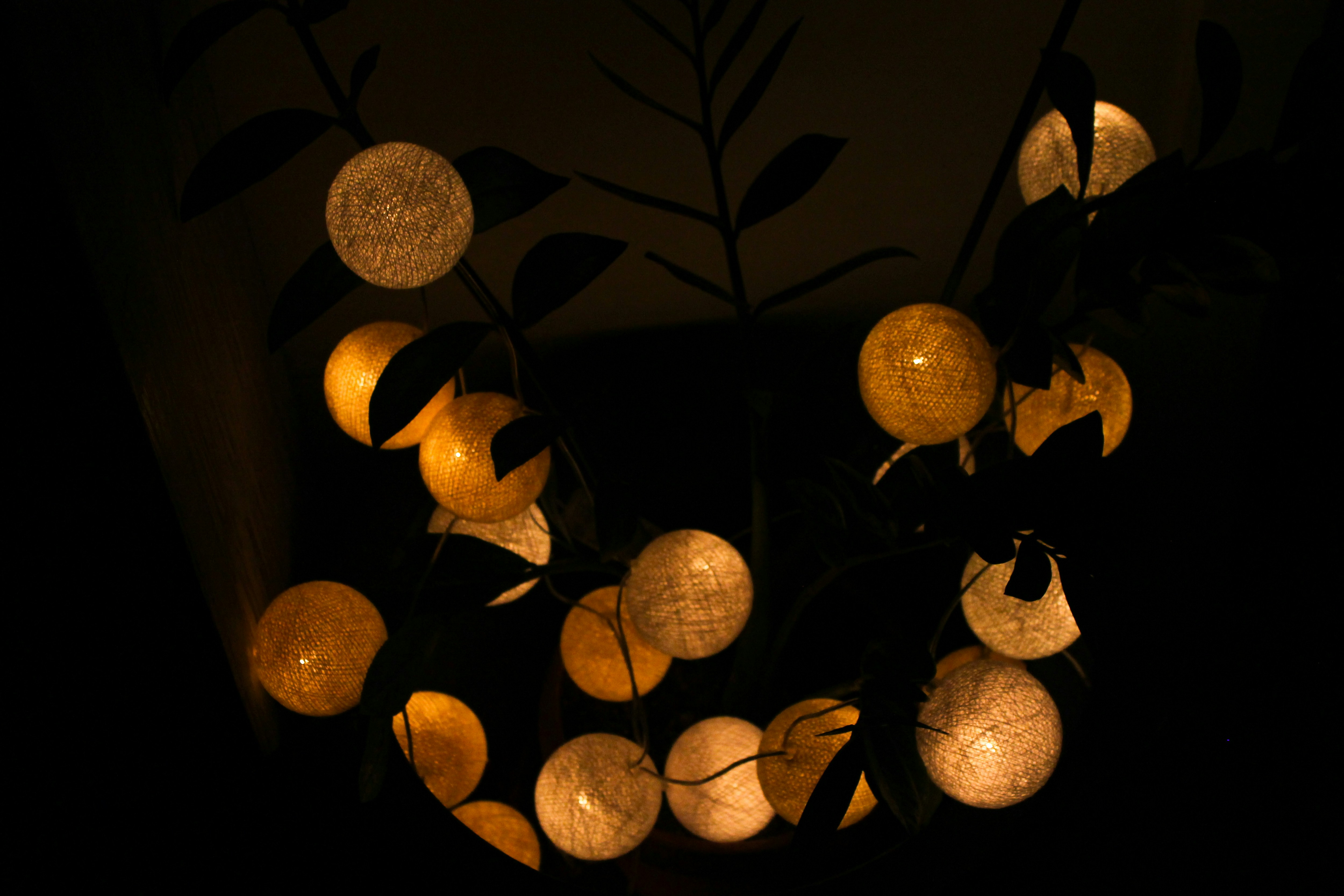 yellow round fruit with black background