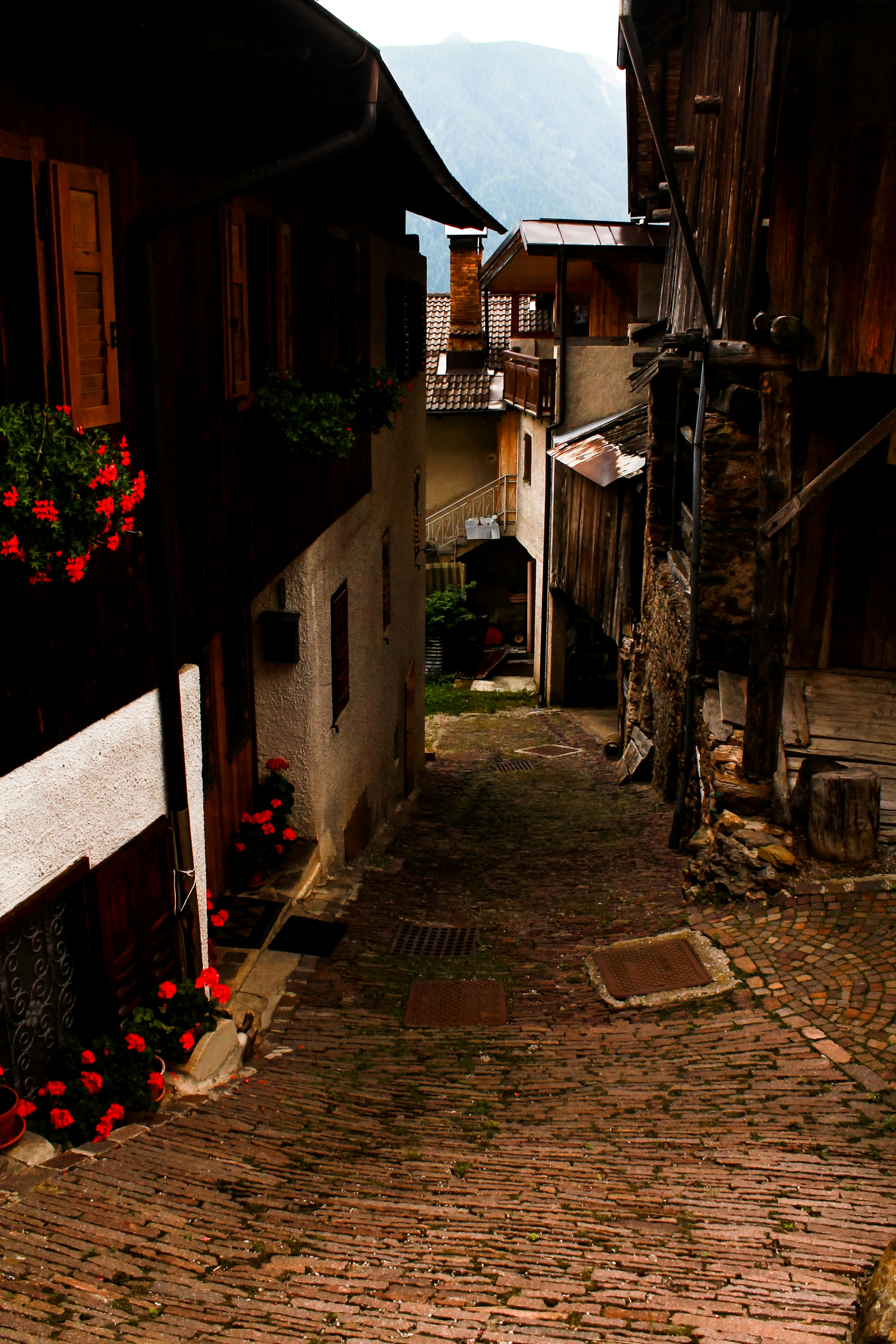 Photo by sebastiano_piazzi