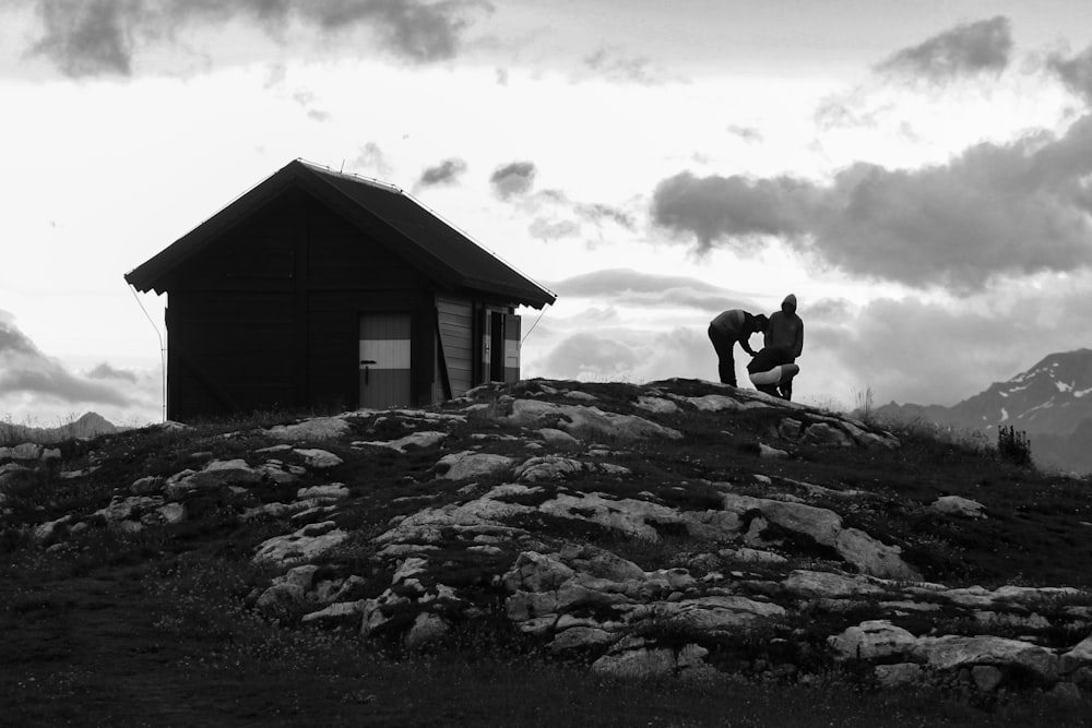 Graustufenfoto von 2 Pferden auf Felsen