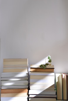 Stack of books with soft light and small plant-academic coaching and vocational counseling support.